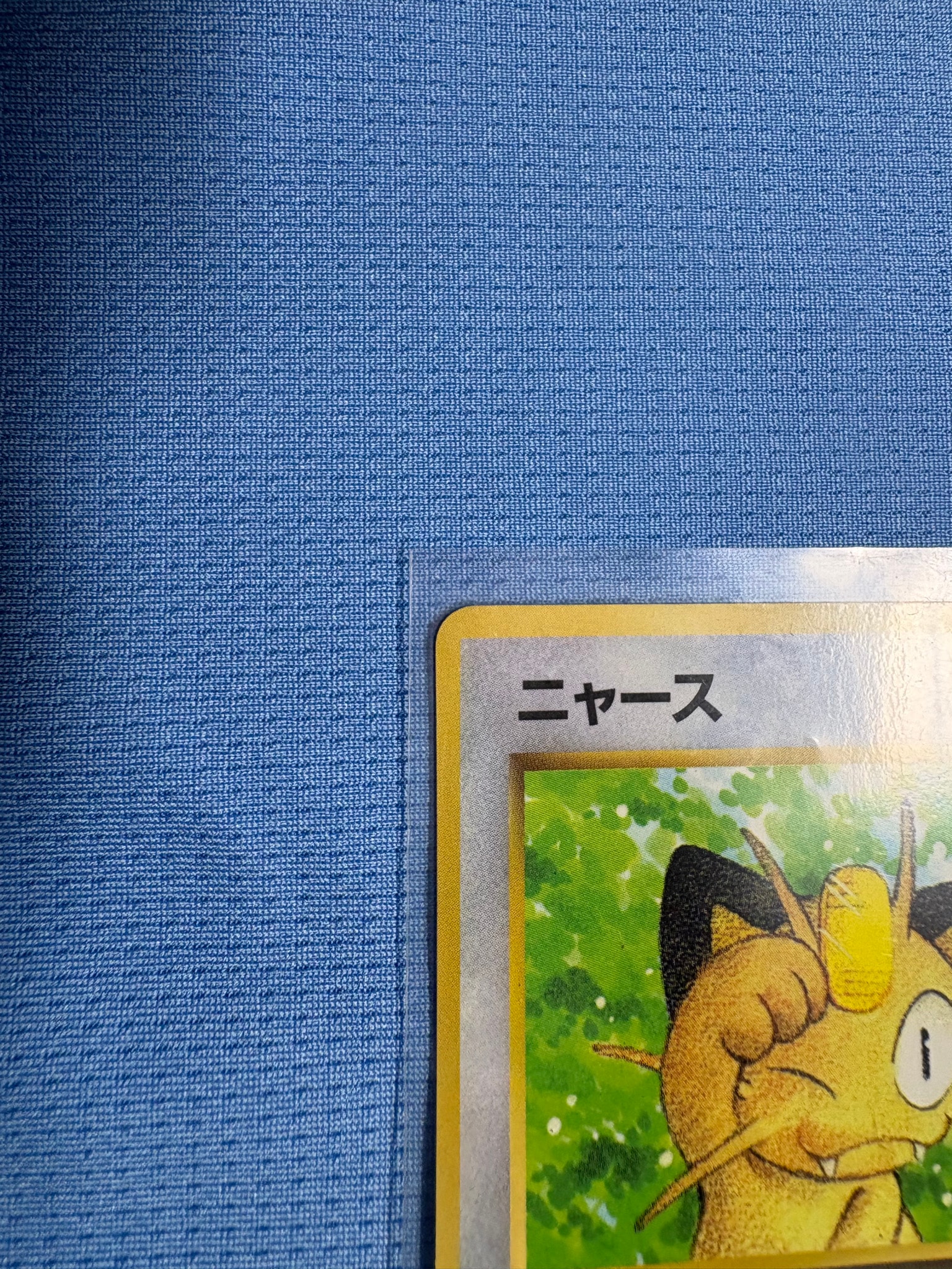 D（大きなダメージあり）】ニャース P : 旧裏 [PMCG-P](プロモーション