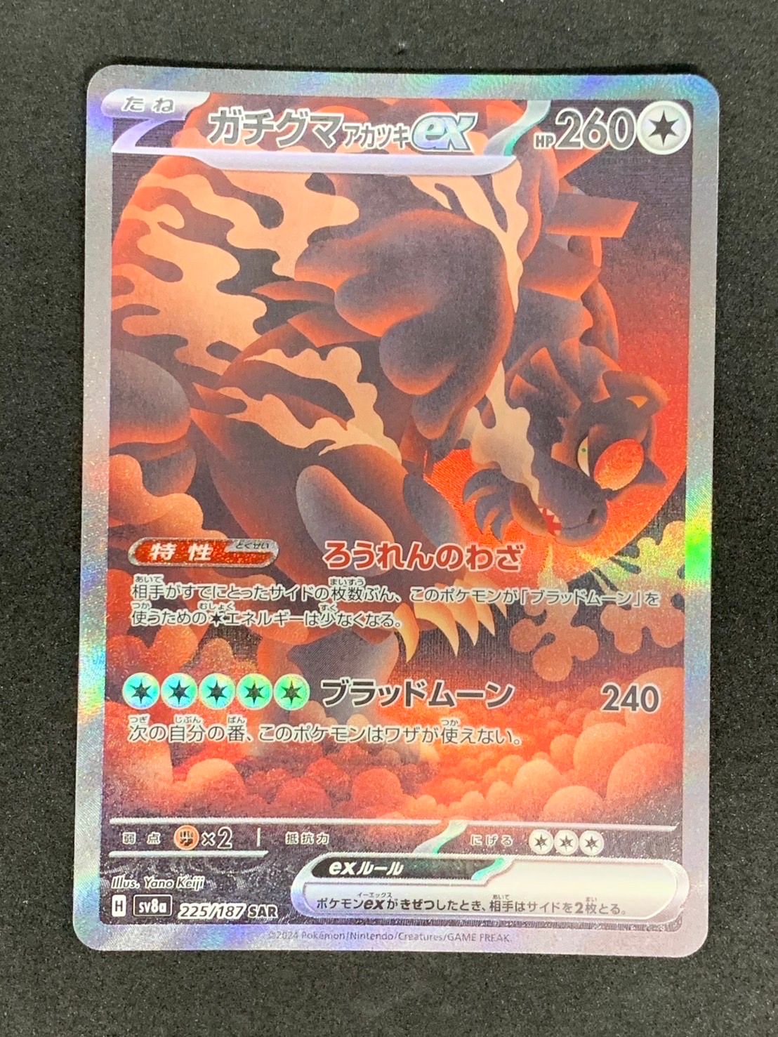 ガチグマ アカツキex SAR [SV8a 225/187](ハイクラスパック「テラスタルフェスex」)