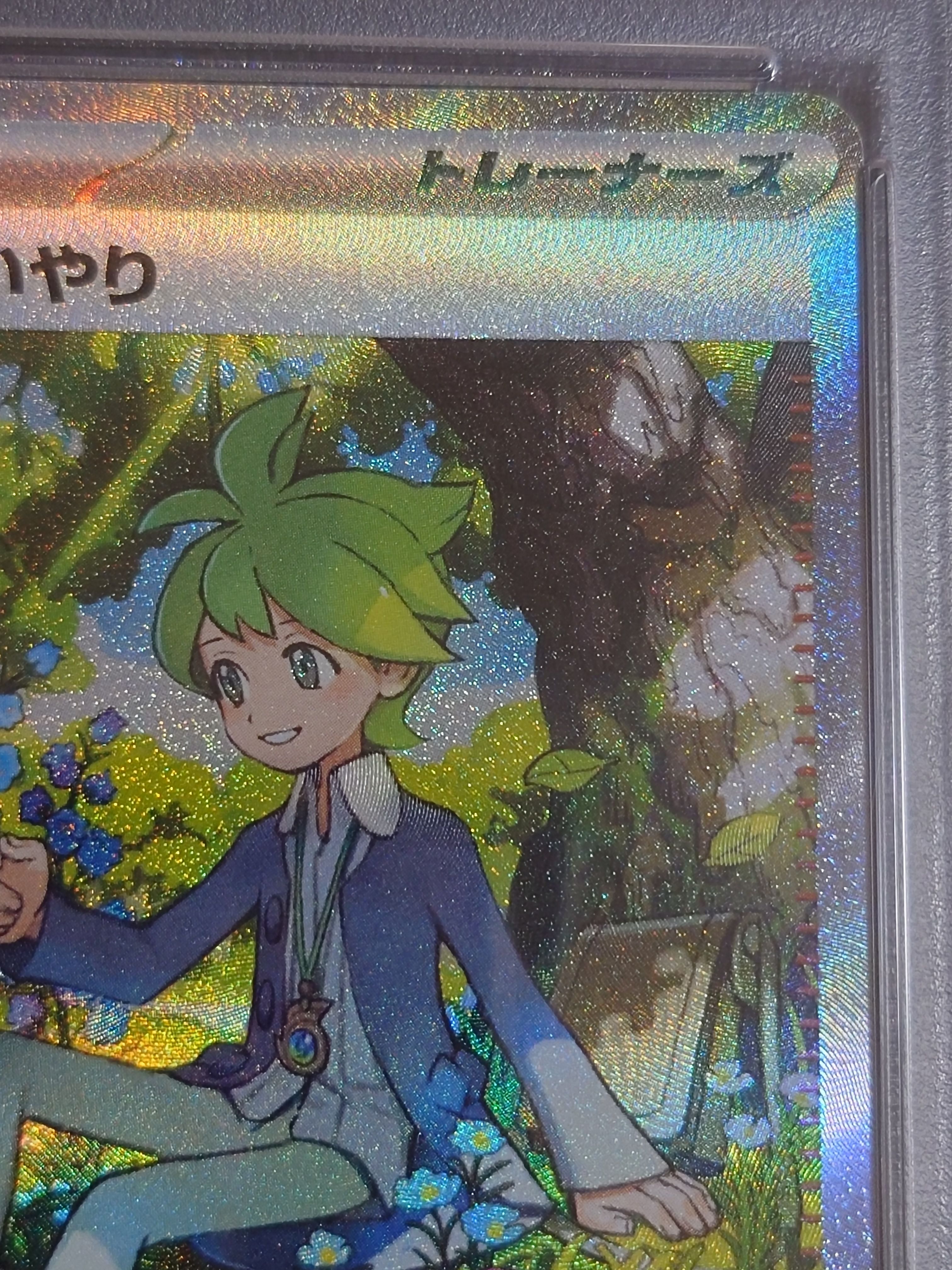 wally pokemon card Pokemon TCG main image 0