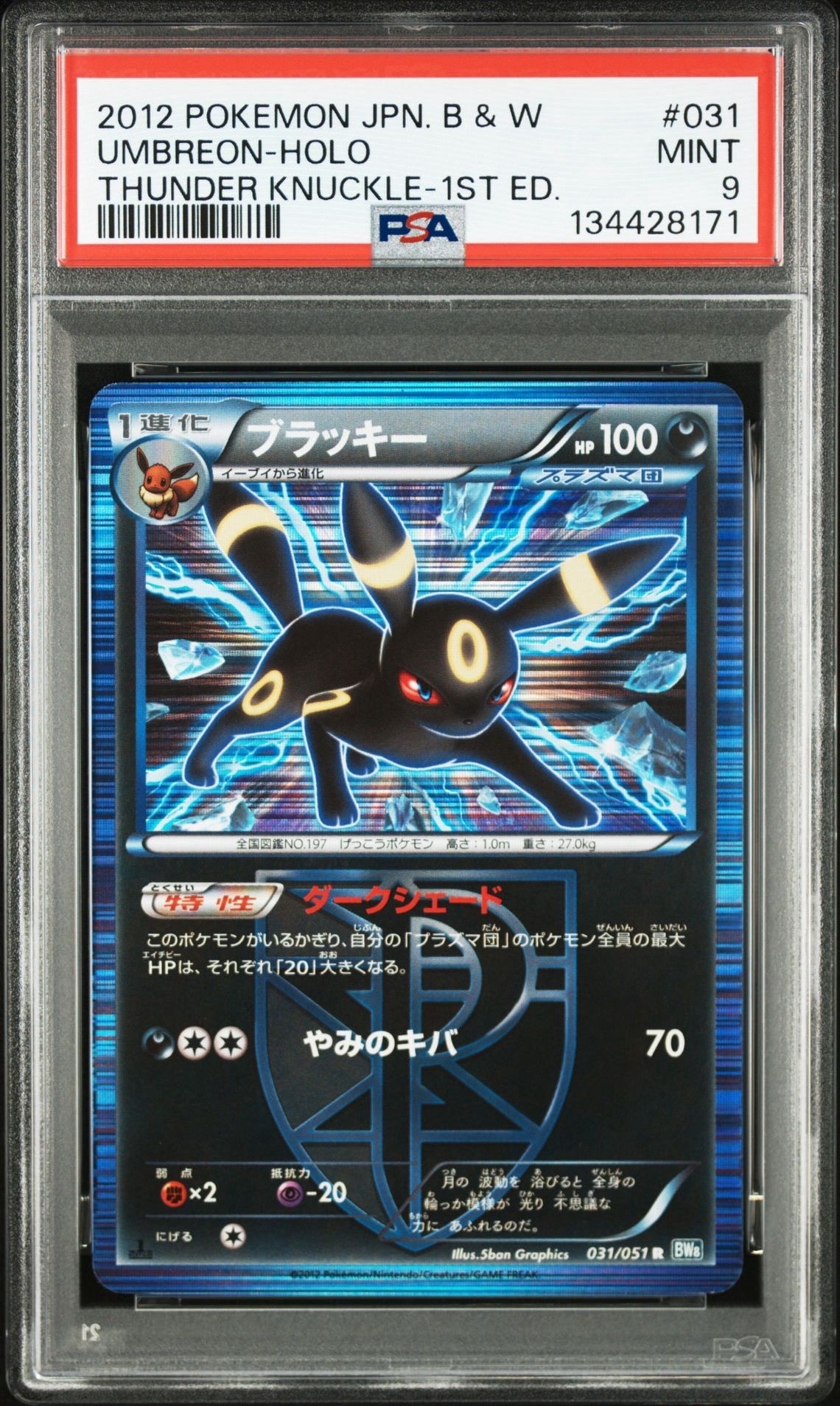 ブラッキー R :1ED [BW8 031/051](拡張パック「ライデンナックル」)