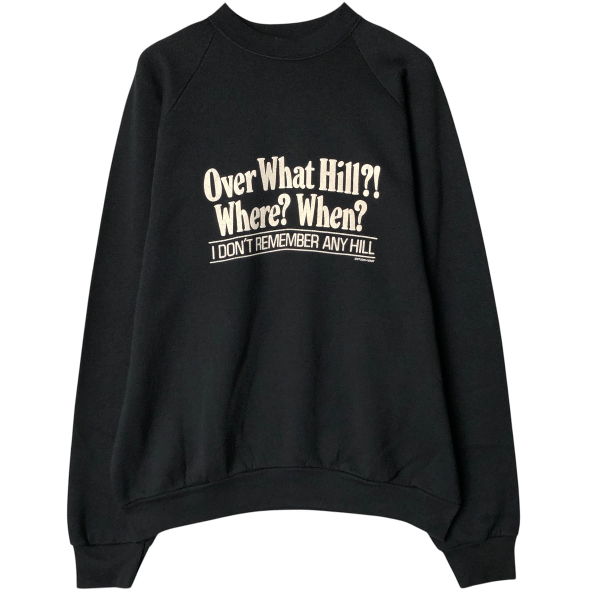 古着 90年代 フルーツオブザルーム FRUIT OF THE LOOM プリントスウェットシャツ トレーナー USA製 メンズXXL相当 ヴィンテージ/eaa577022