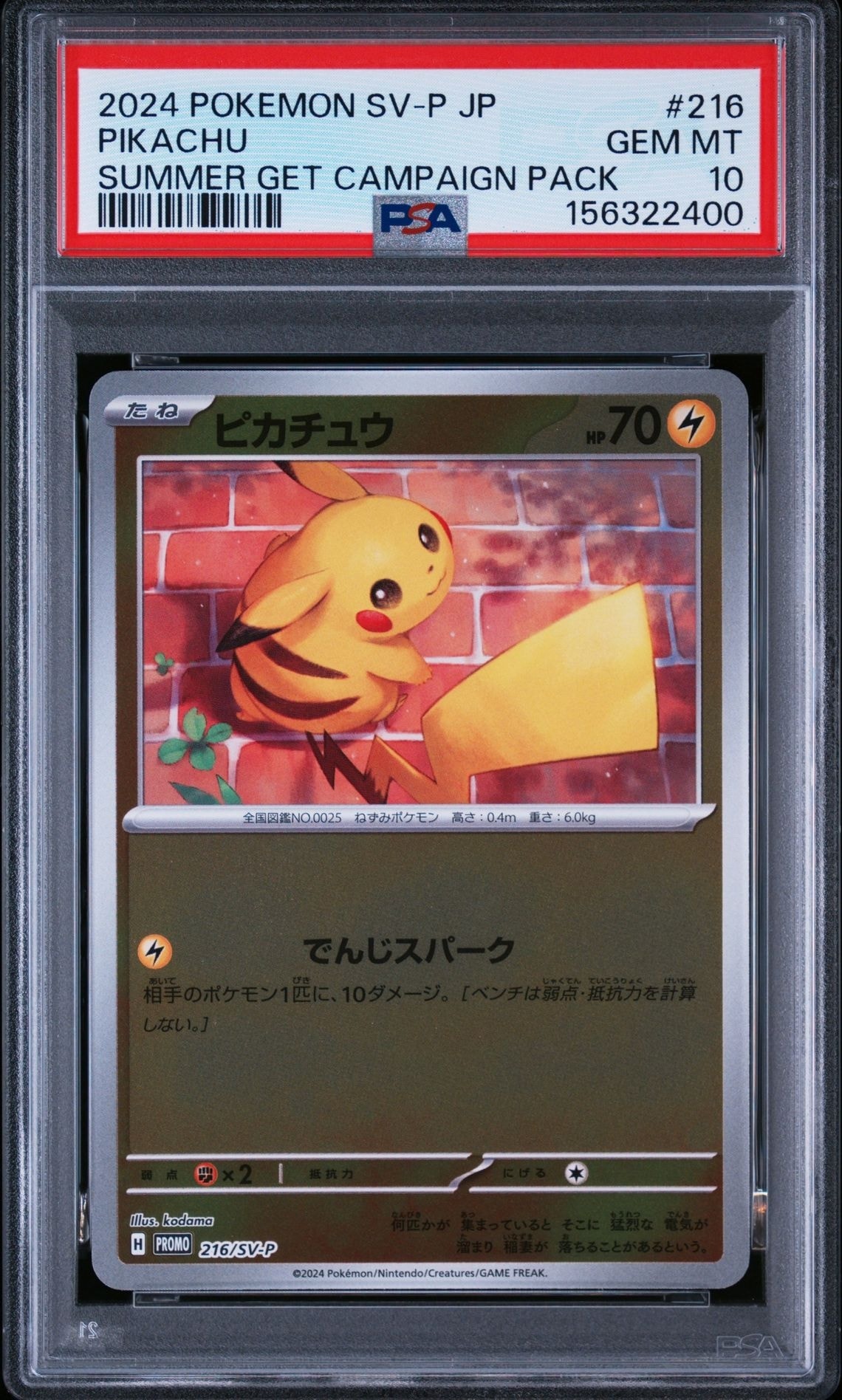 ピカチュウ P [SV-P 216](プロモカードパック「ポケカの夏がキタ!プロモカードGetキャンペーン!」)