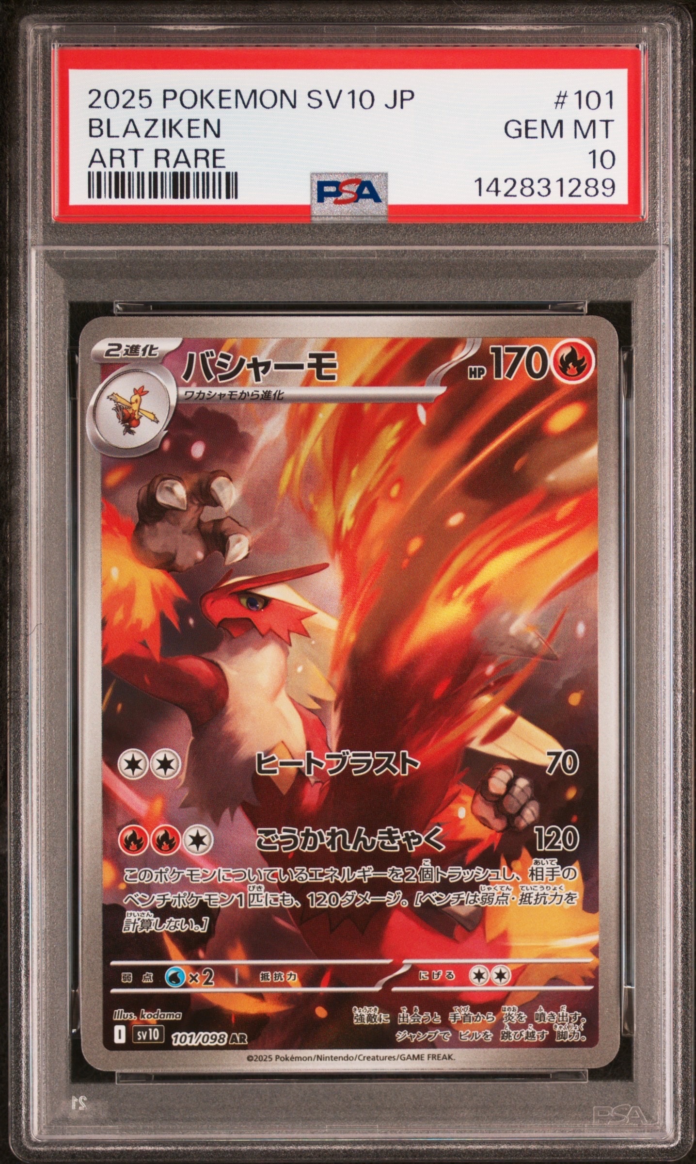 ゼクロムGX SR: 争奪戦プロモ[SM-P 239](プロモーションカード「SM-P