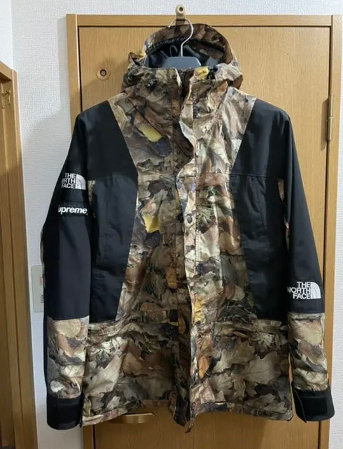 Supreme x The North Face Leaves Mountain Light Jacket "Leaves"