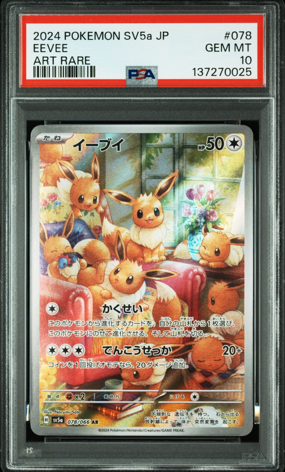 ピカチュウハイクラスパック THE BEST OF XY XY 029/171 ピカチュウ(C){雷}〈022/060〉[XY1-b] – 晴れる屋2