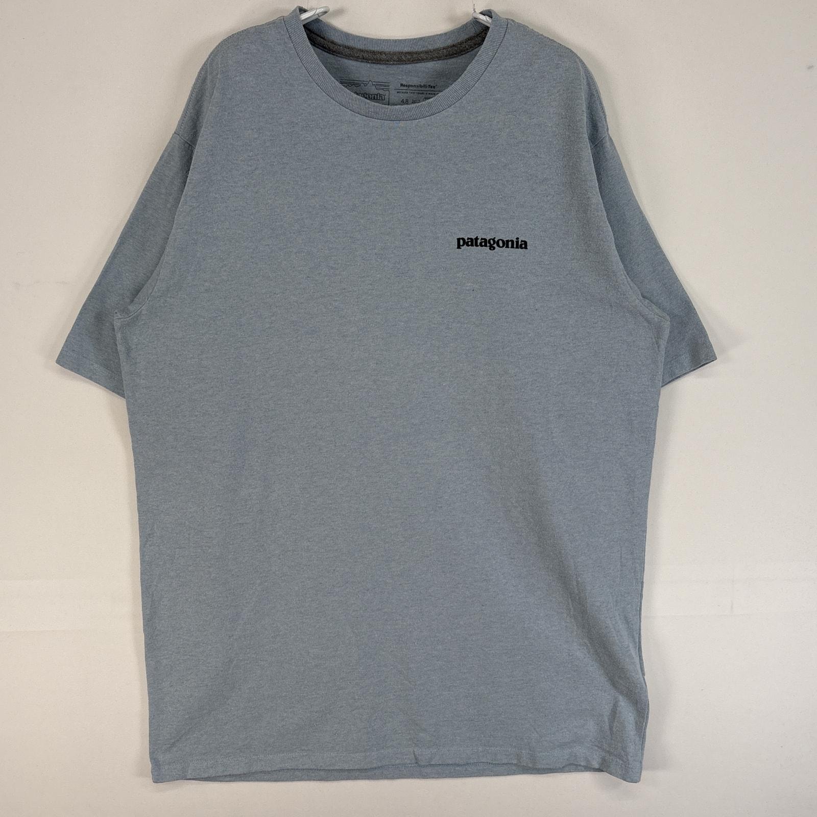 古着 パタゴニア patagonia 半袖Tシャツ 両面 プリント アウトドア クルーネック S 水色 メンズ