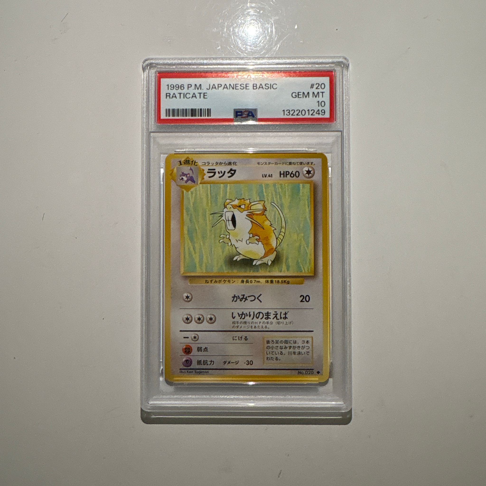 PSA10】ラッタ ◇ : 旧裏 [PMCG1-2](拡張パック「ポケットモンスター