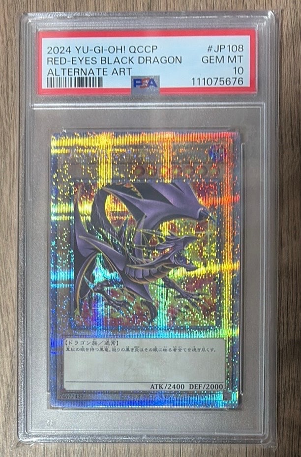 Red-Eyes Black Dragon (Another Illustration) 25th SE [QCCP-JP108](QUARTER CENTURY CHRONICLE side:PRIDE)