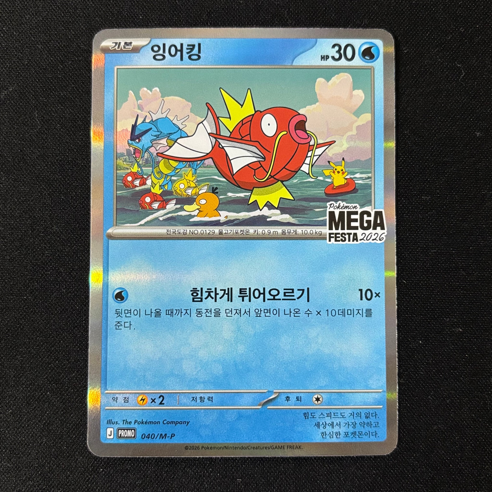 コイキング プロモ [040/M-P]【韓国語版】(プロモーションカード「ポケモン メガフェスタ2026 プロモカードパック」)