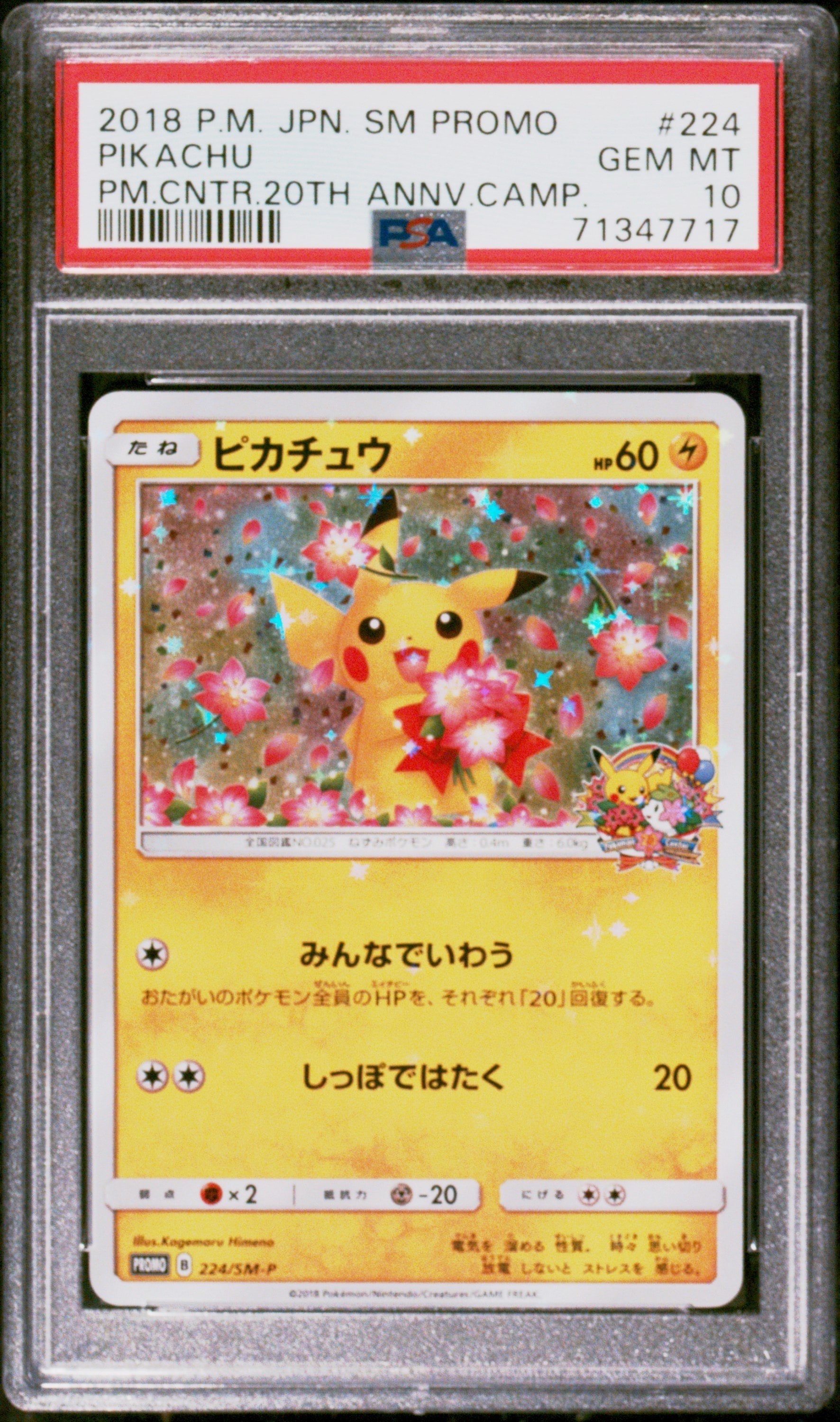 ピカチュウ: プロモ[SM-P 224](プロモーションカード「SM-P」)