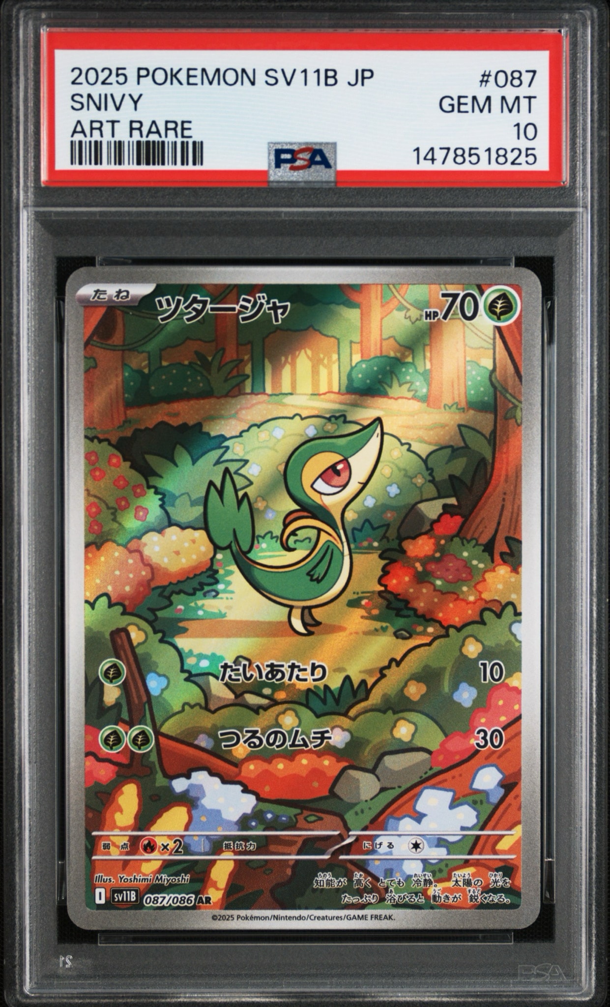 PSA10】ツタージャ AR [SV11B 087/086](拡張パック「ブラックボルト