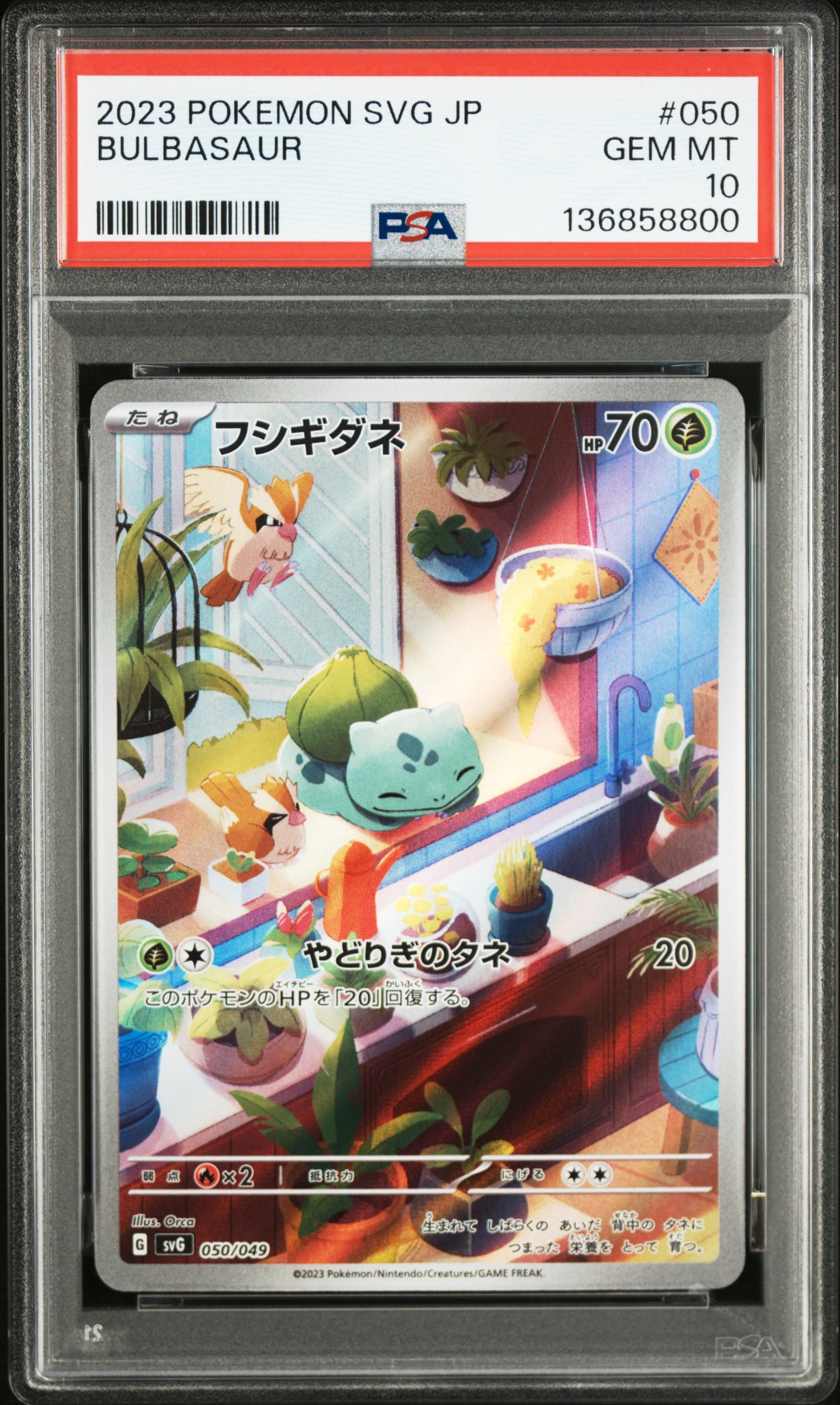 フシギダネ :フルイラスト [SVG 050/049](スペシャルデッキセットex「フシギバナ・リザードン・カメックス」)