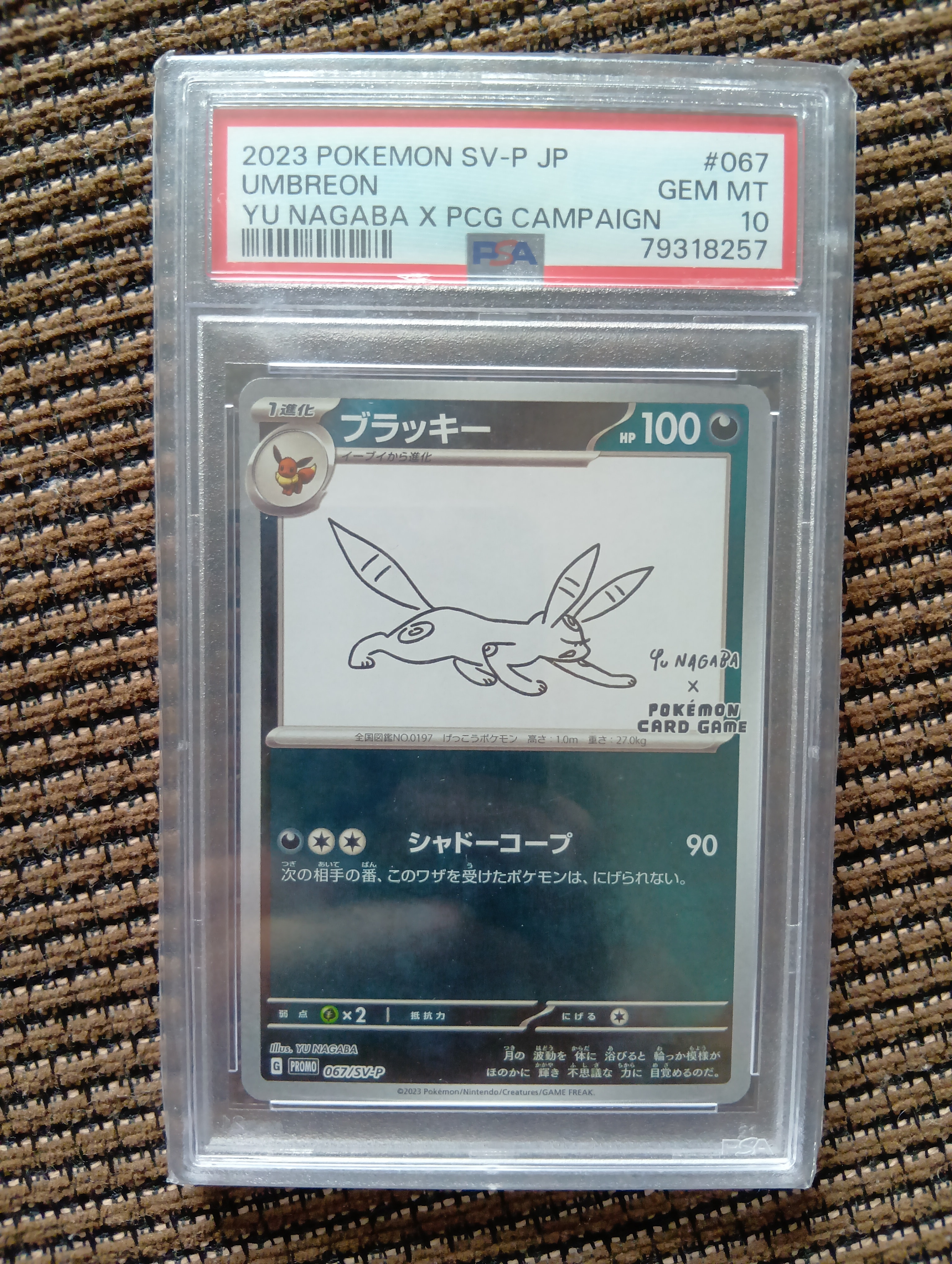 PSA10】ブラッキー: プロモ (ナガバブラッキー) [SV-P 067](「YU