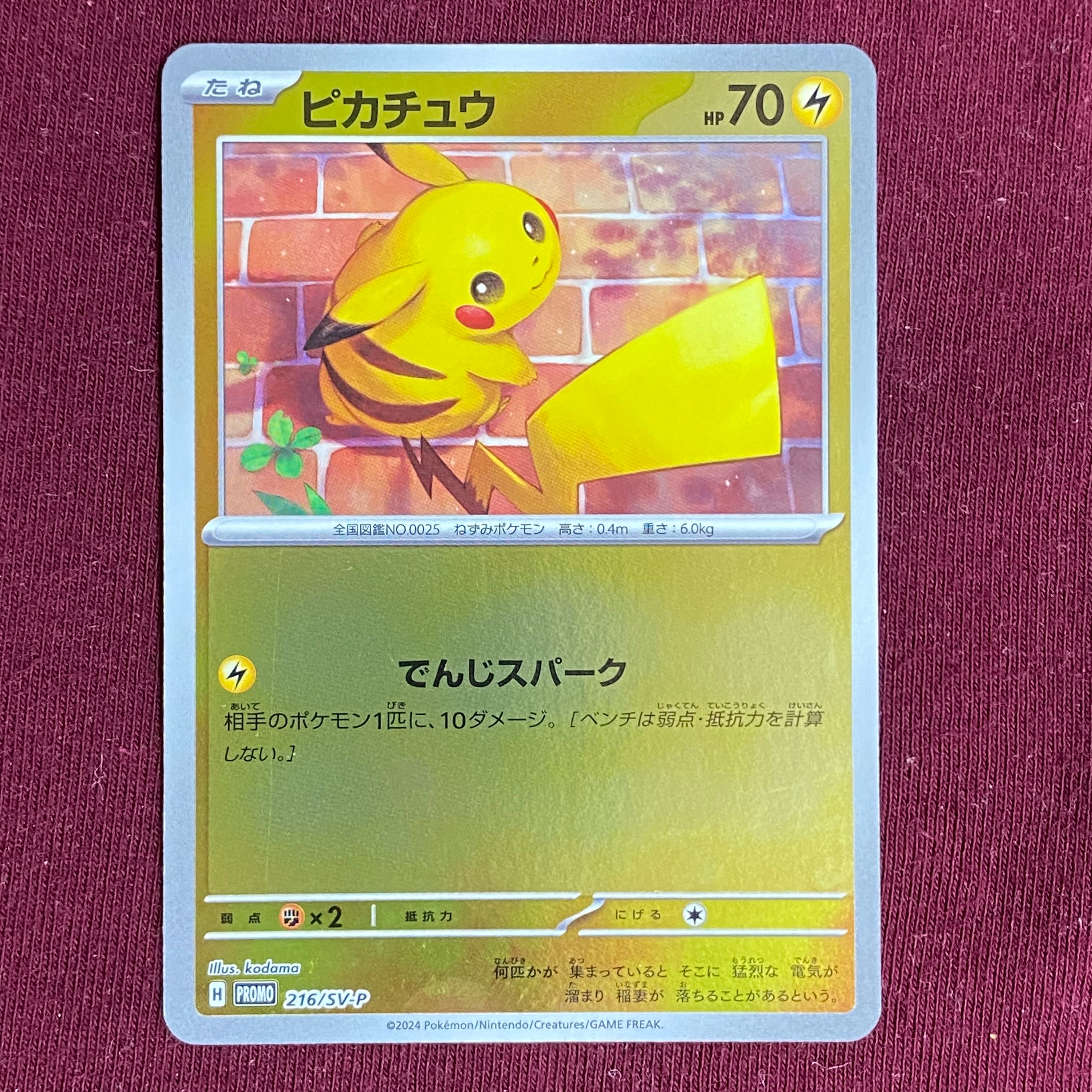 PSA10】ピカチュウ P [SV-P 216](プロモカードパック「ポケカの夏が