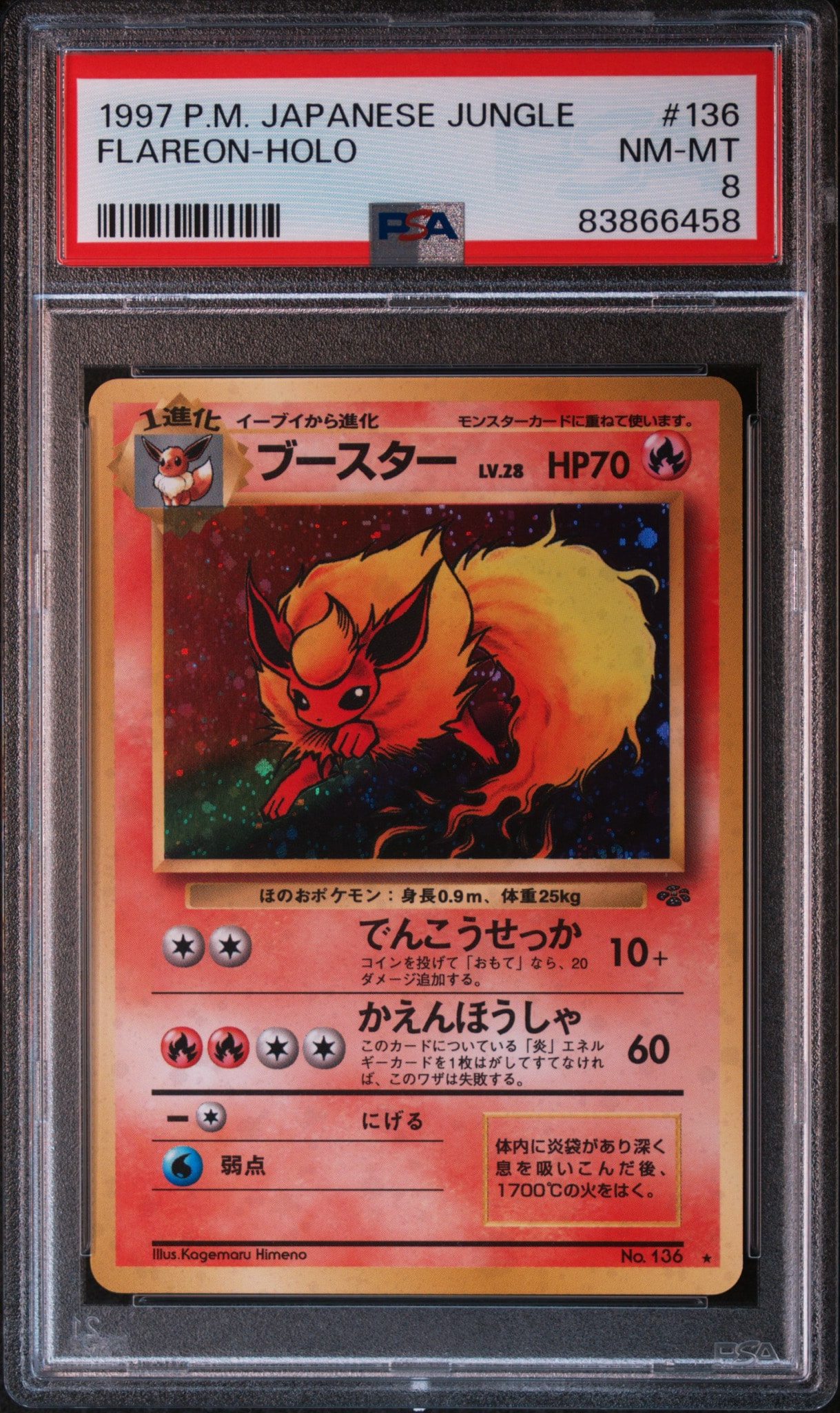 旧裏 ブースター ★ 第2弾拡張 ポケモンジャングル flareon holo PSA8以下】ブースター ☆ : 旧裏 [PMCG2 No.136](拡張パック「ポケモン
