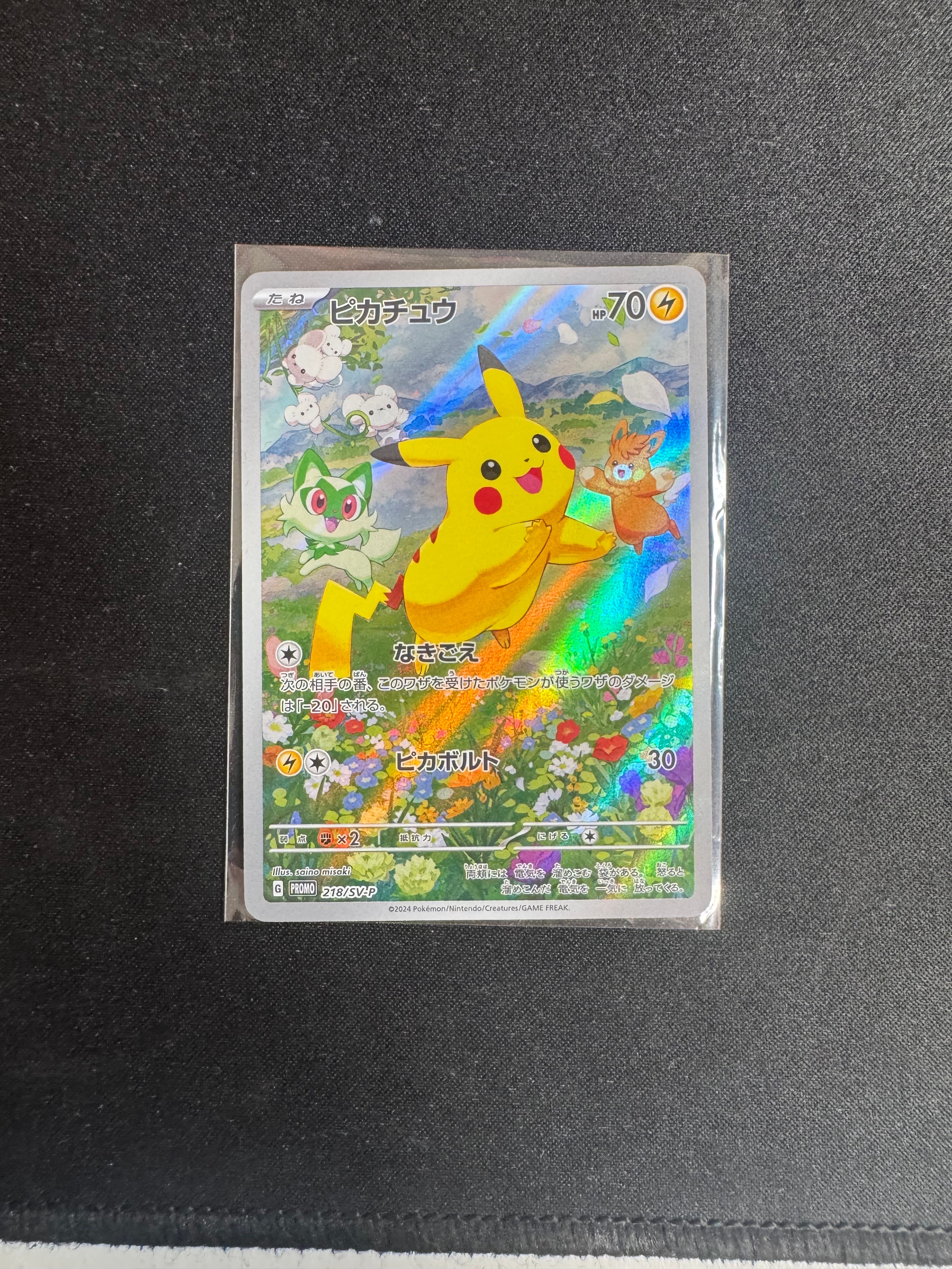 PSA10】ホゲータ P [M-P 018](プロモカードパック「マクドナルド