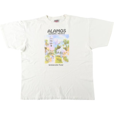 古着 90年代 オニータ ONEITA POWER-T プリントTシャツ USA製 メンズXL相当 ヴィンテージ/eaa644567