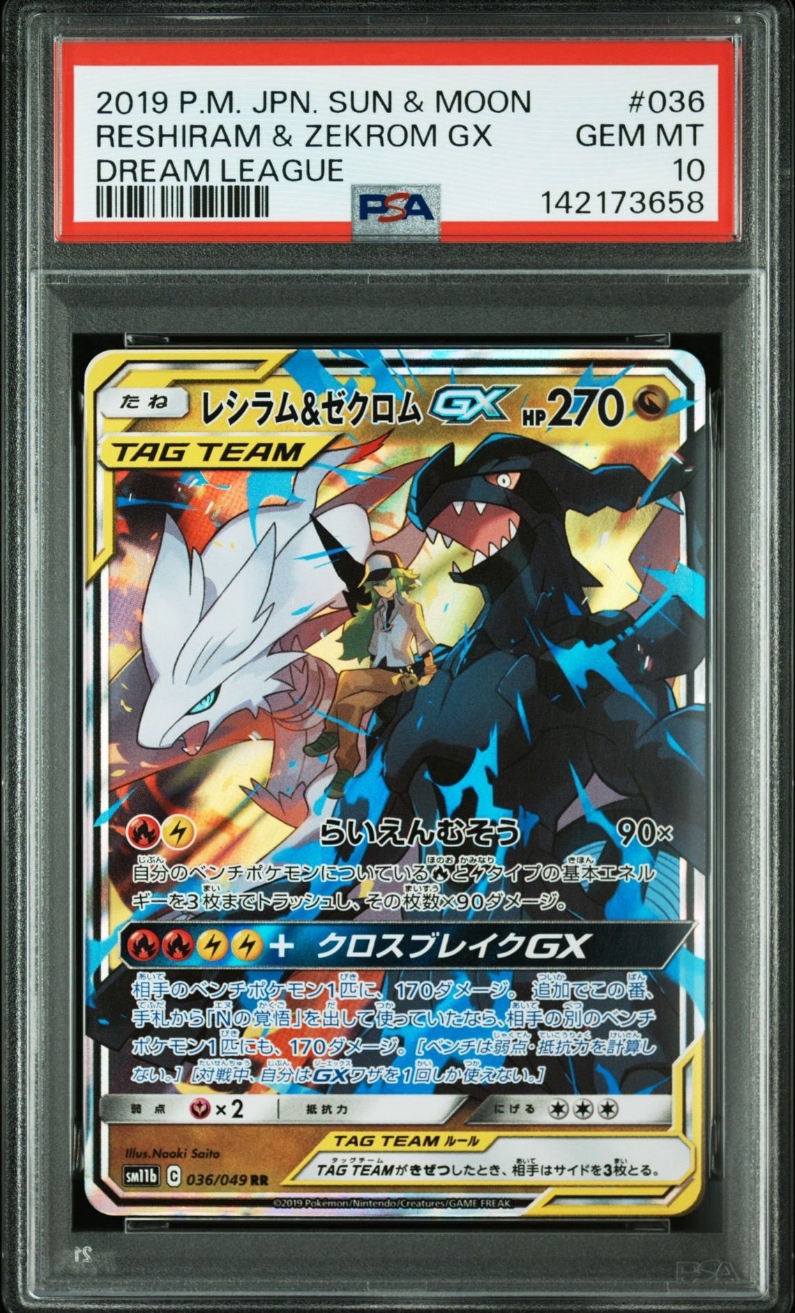 レシラム&ゼクロムGX (N) RR[SM11b 036/049](強化拡張パック「ドリームリーグ」)