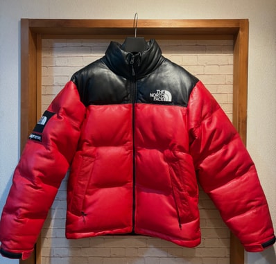 Supreme x The North Face Leather Nuptse Jacket "Red"