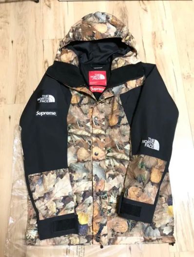 Supreme x The North Face Leaves Mountain Light Jacket "Leaves"