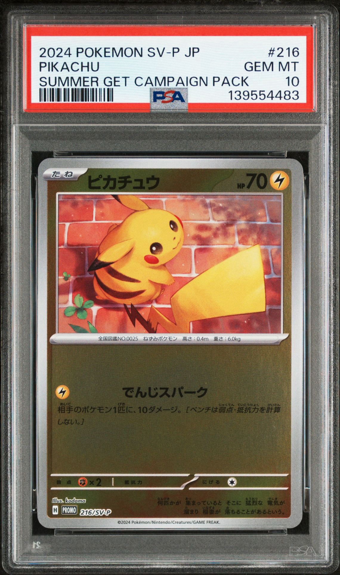 ピカチュウ P [SV-P 216](プロモカードパック「ポケカの夏がキタ!プロモカードGetキャンペーン!」)