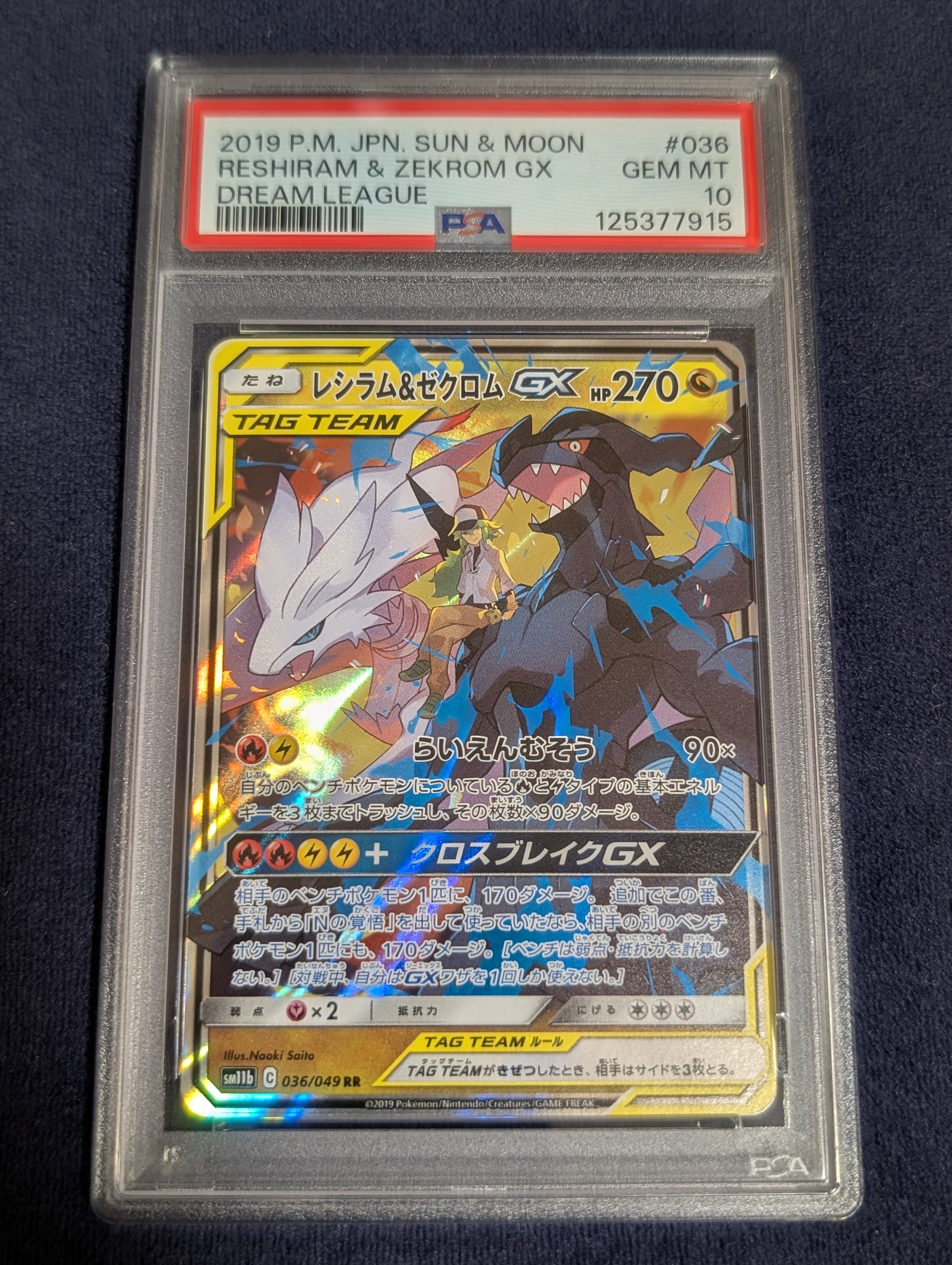 レシラム&ゼクロムGX (N) RR[SM11b 036/049](強化拡張パック「ドリームリーグ」)