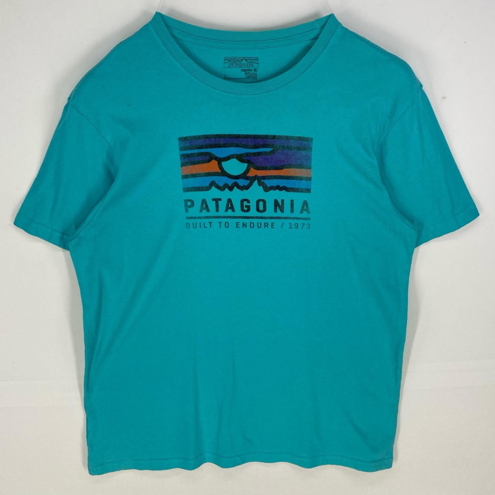 古着 パタゴニア patagonia USA製 半袖Tシャツ ロゴプリント アウトドア クルーネック ショートスリーブ L ブルー系 メンズ