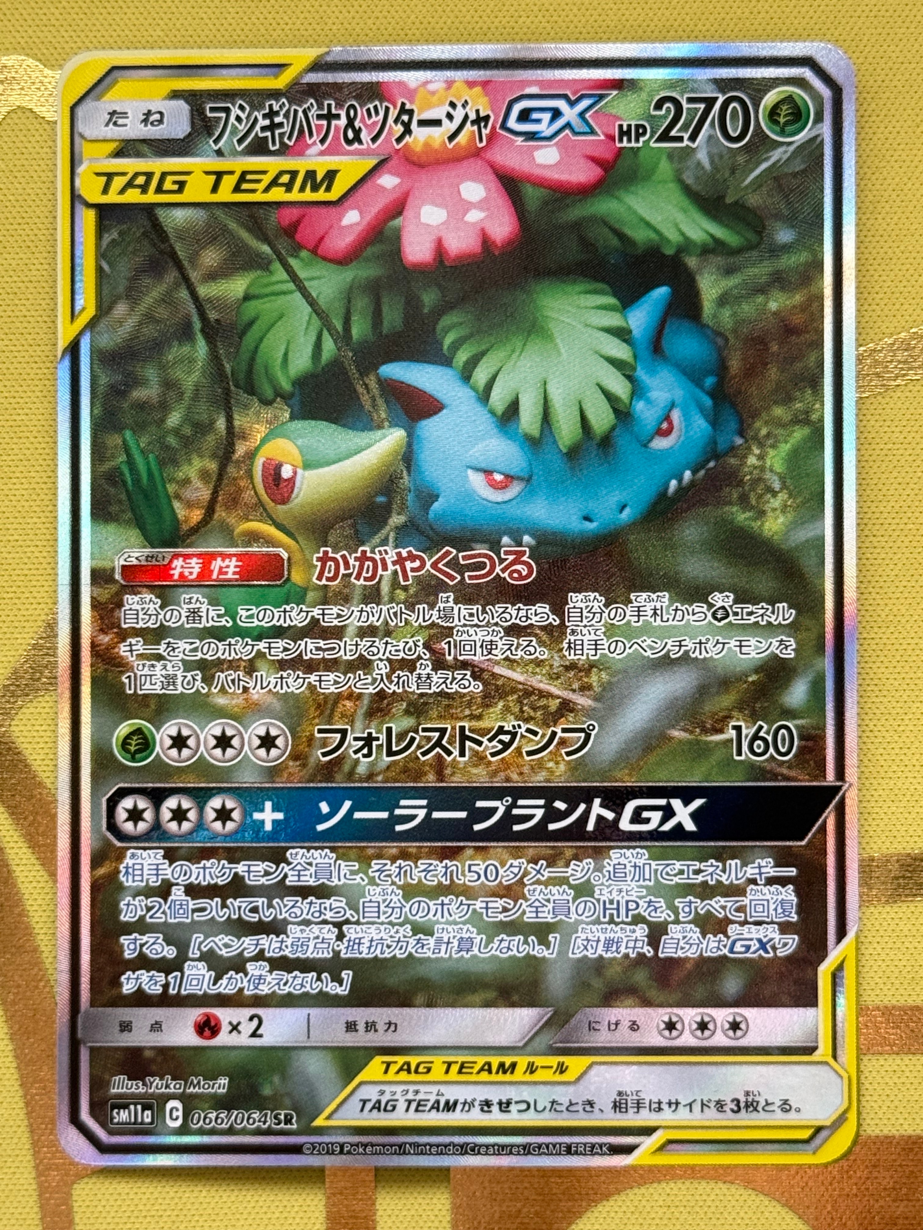 フシギバナ&ツタージャGX SR: SA[SM11a 066/064](強化拡張パック「リミックスバウト」)