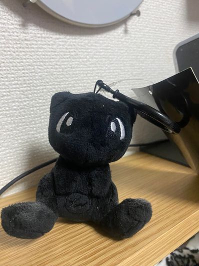 FRAGMENT x POKEMON THUNDERBOLT PROJECT P151 MASCOT "Black"