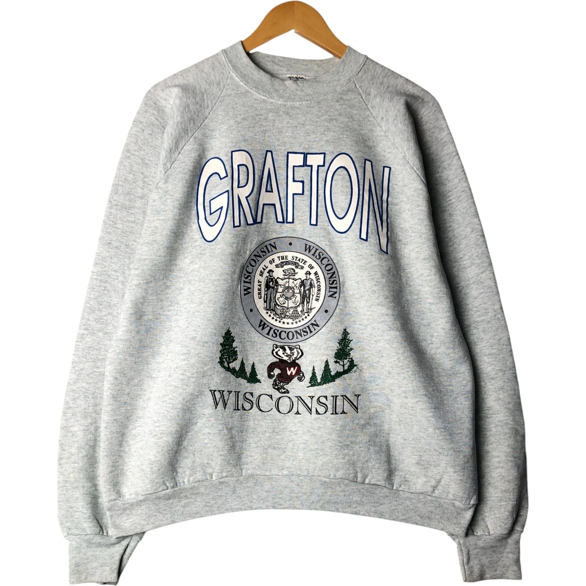 古着 90年代 フルーツオブザルーム FRUIT OF THE LOOM WISCONSIN ウィスコンシン大学 カレッジ キャラクタースウェットシャツ トレーナー USA製 メンズL相当 ヴィンテージ/eaa593031