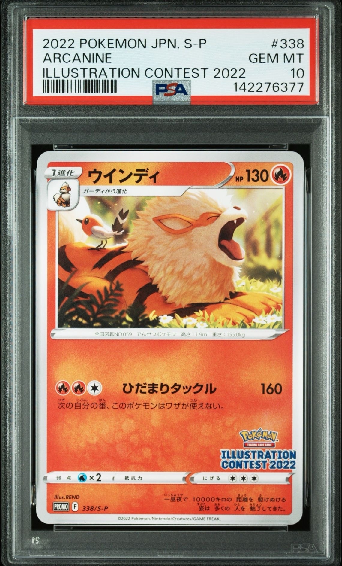 ウインディ プロモ[PROMO338 S-P](プロモーションカード「ポケモンセンター・ポケモンストア・ポケモンセンターオンライン2000円以上購入特典」)