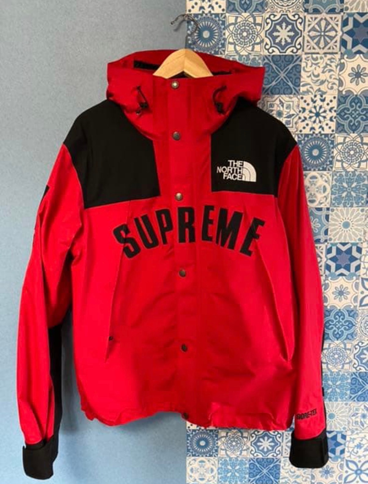 Supreme x The North Face Arc Logo Mountain Parka "Red"