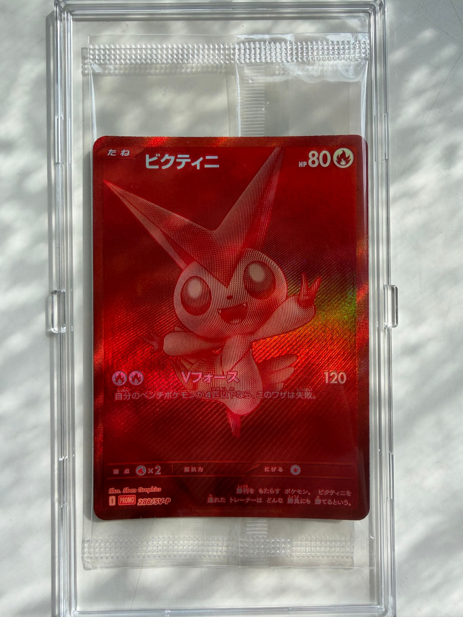 ビクティニ P [SV-P 288](プロモーションカード「ビクティニBWR争奪戦 上位賞 / おうちでブラックボルト・ホワイトフレア デッキ構築戦キャンペーン)