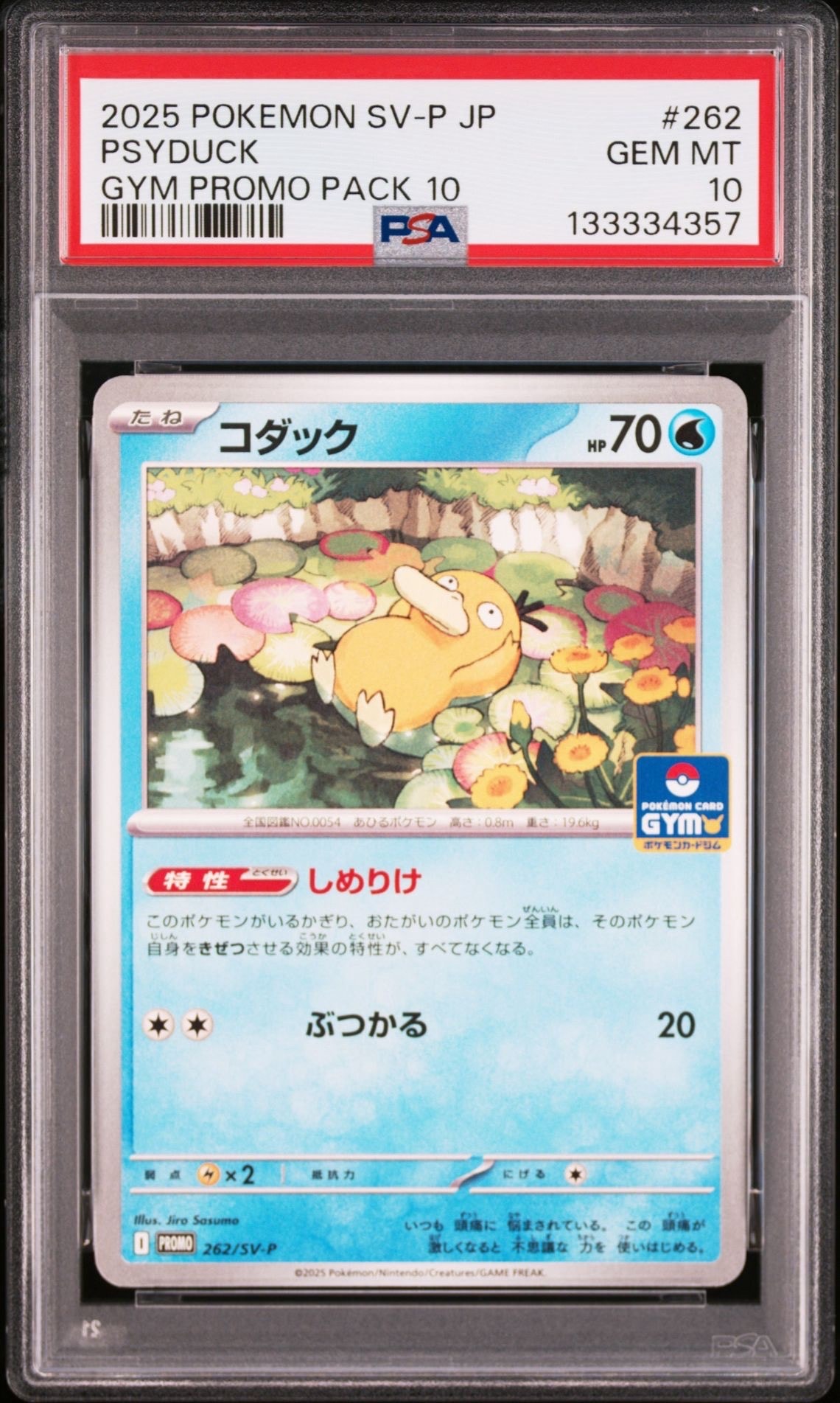 コダック P [SV-P 262](プロモカードパック「第10弾」)