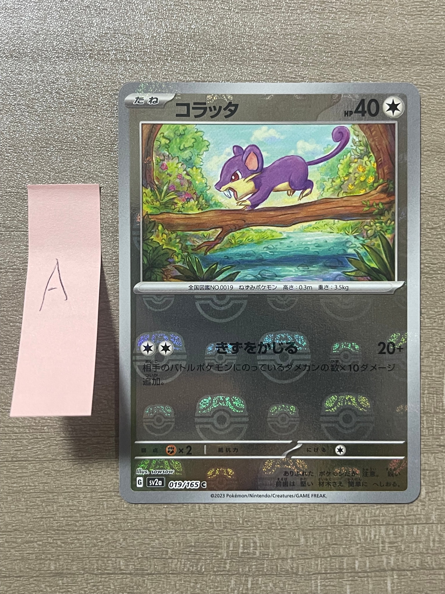 コラッタ C: マスターボールミラー[SV2a 019/165](強化拡張パック「ポケモンカード151」)