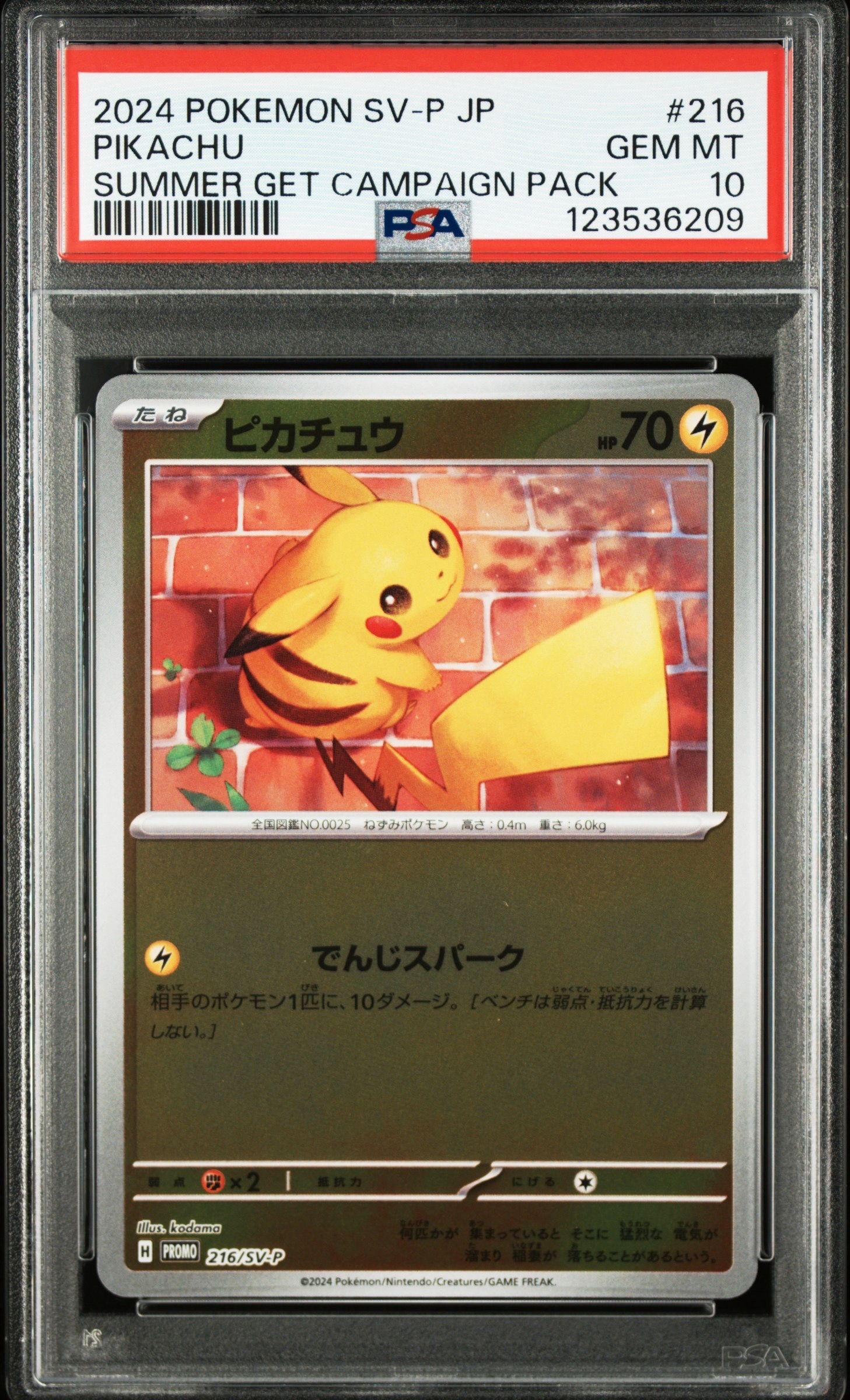 ピカチュウ P [SV-P 216](プロモカードパック「ポケカの夏がキタ!プロモカードGetキャンペーン!」)