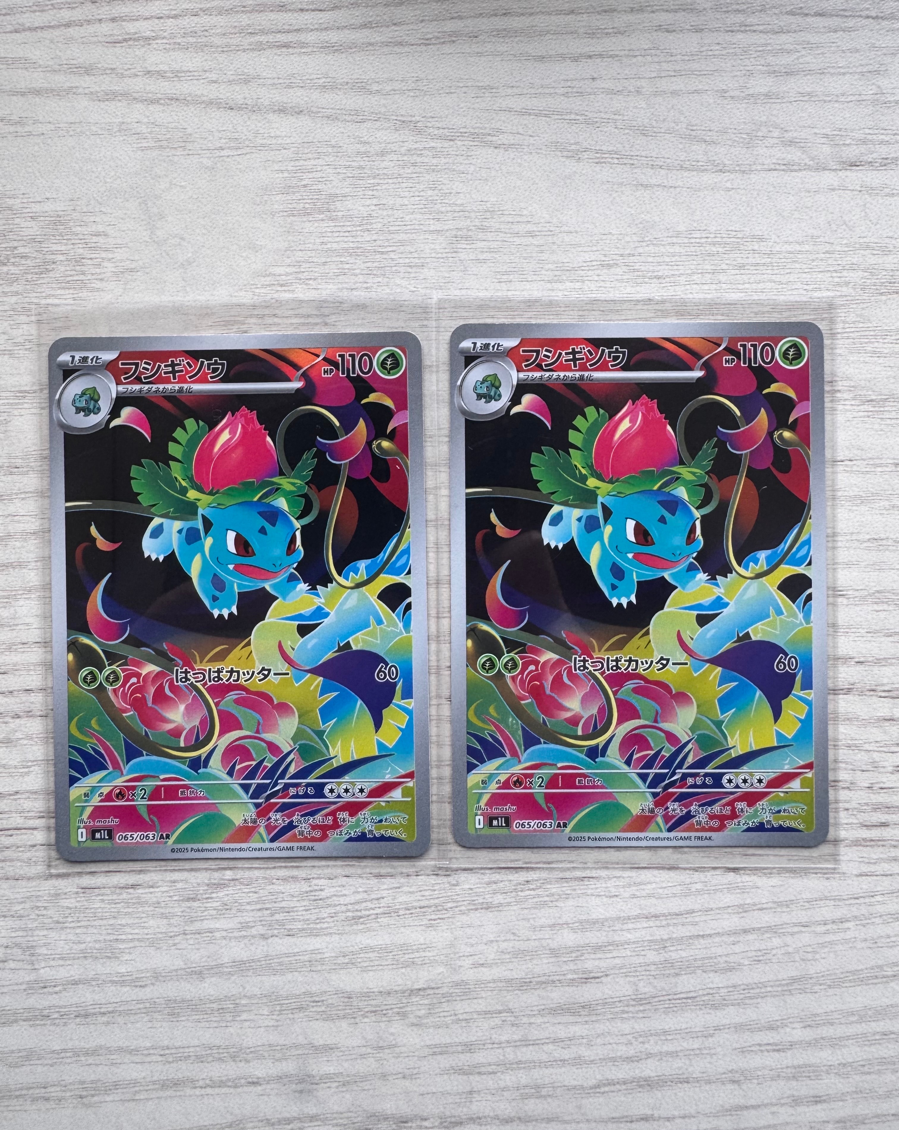 PSA8以下】ホウオウ [PCG 002/009](ポケパークプレミアムファイル