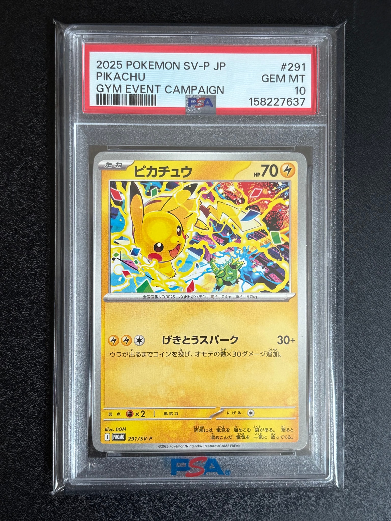 ピカチュウ P [SV-P 291](プロモーションカード「SV-P」)通販・買取