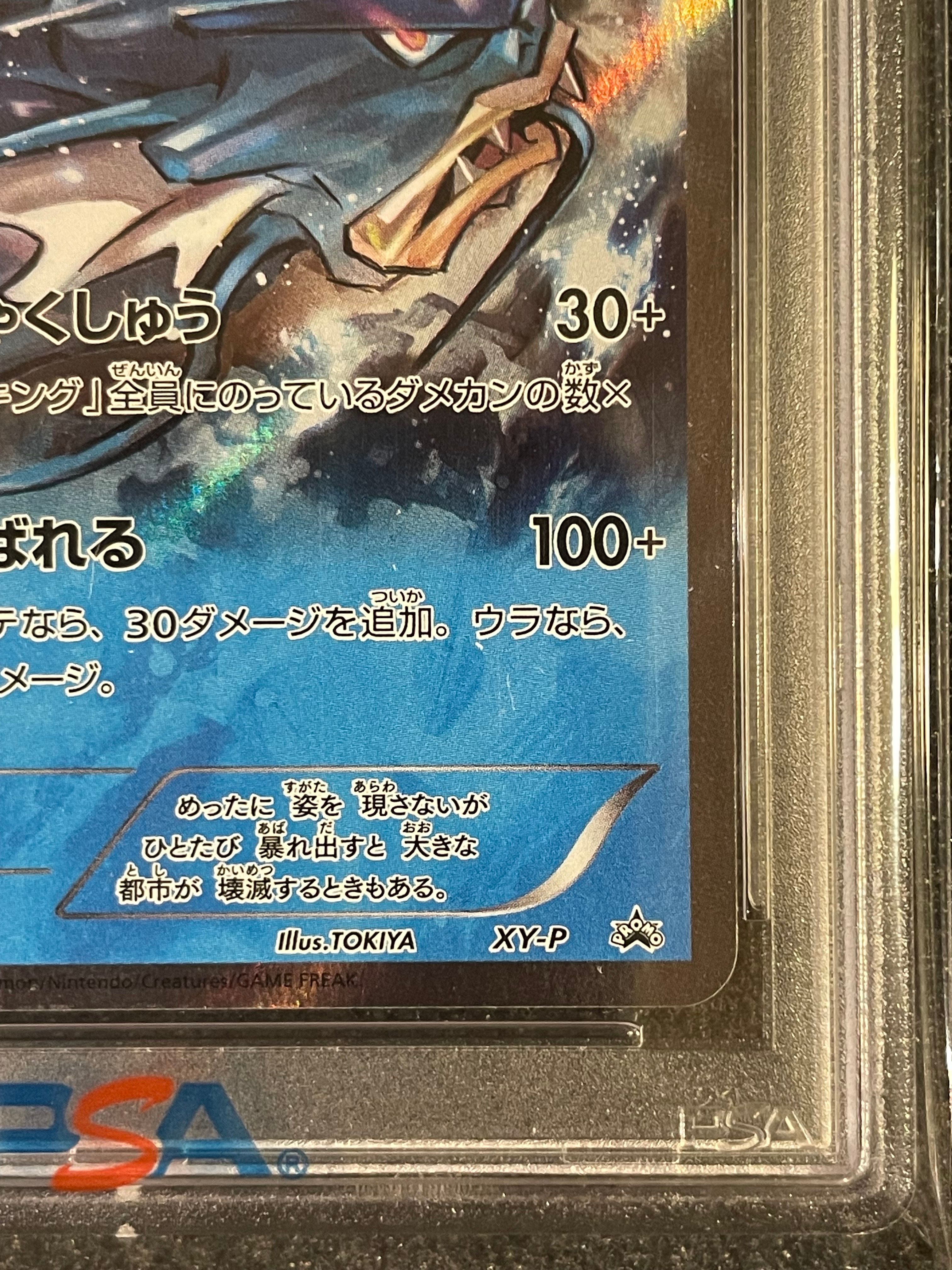 全国無料，品質保証】 ギャラドス: プロモ[XY-P](プロモーションカード