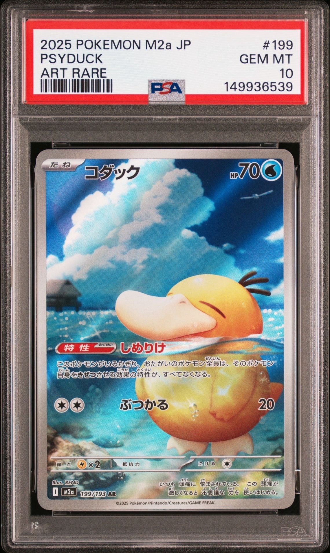 コダック AR [M2a 199/193](ハイクラスパック「MEGAドリームex」)