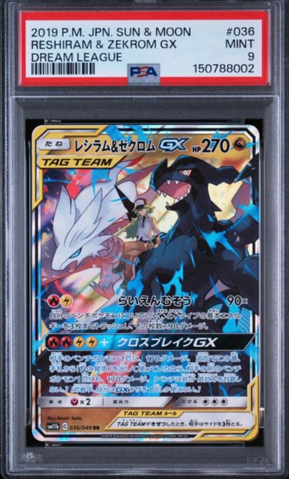 レシラム&ゼクロムGX (N) RR[SM11b 036/049](強化拡張パック「ドリームリーグ」)