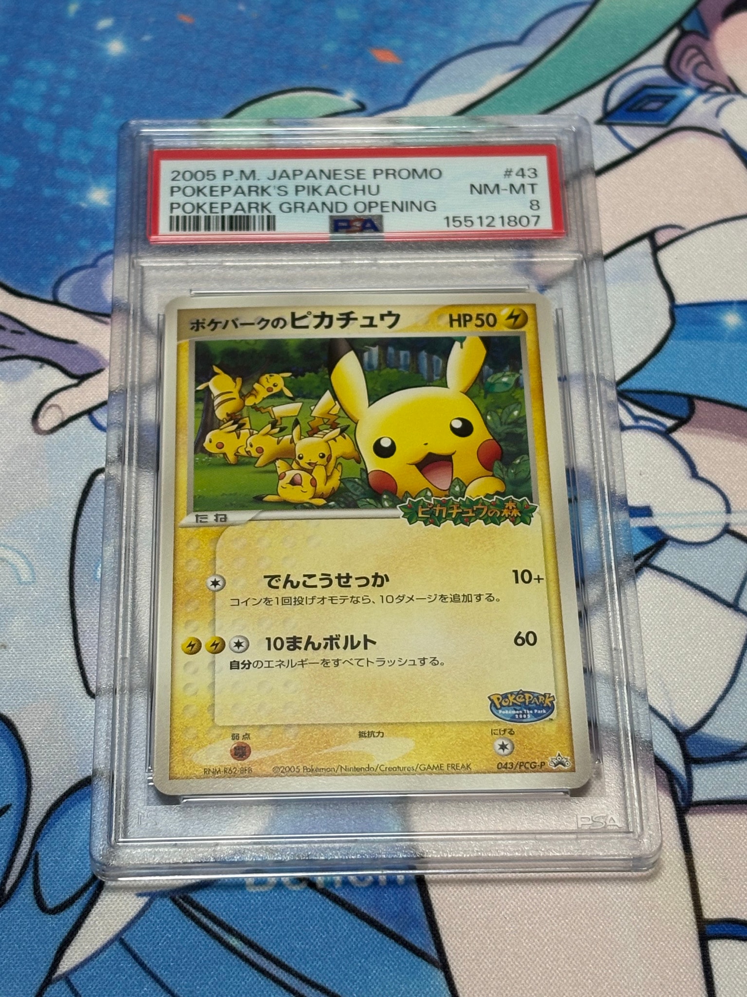 PSA10】ポケパークのピカチュウ P [PCG-P 043](プロモーションカード