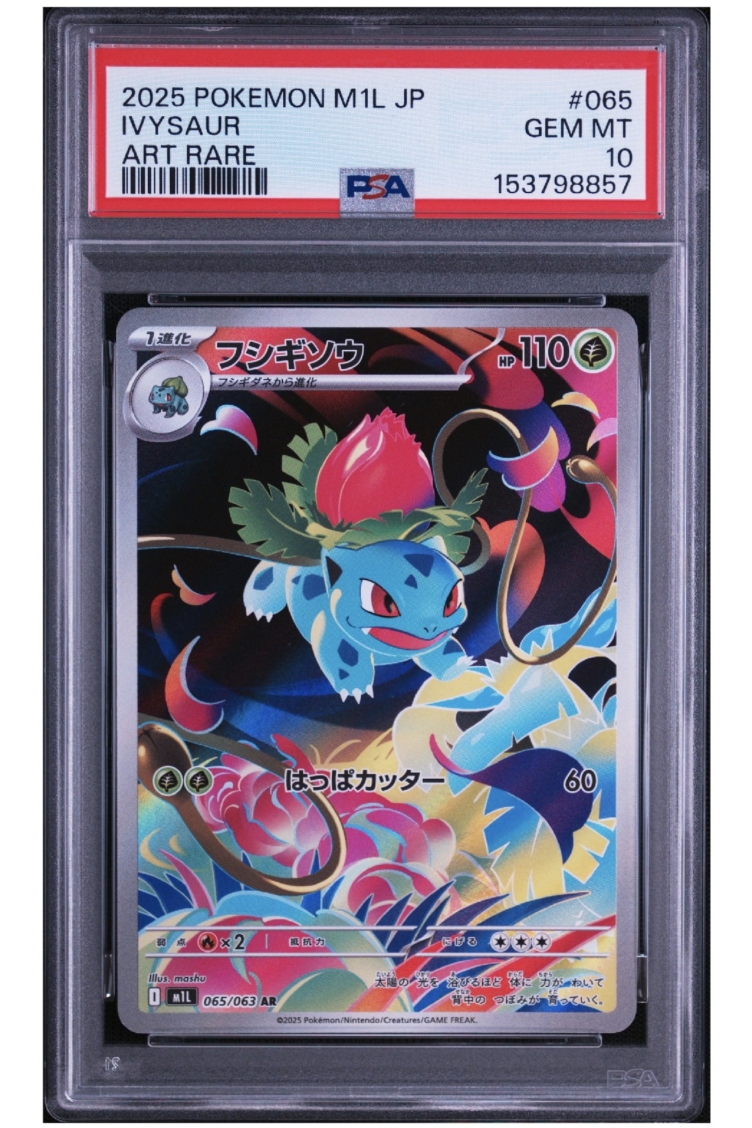 フシギソウ AR [M1L 065/063](拡張パック「メガブレイブ」)通販・買取