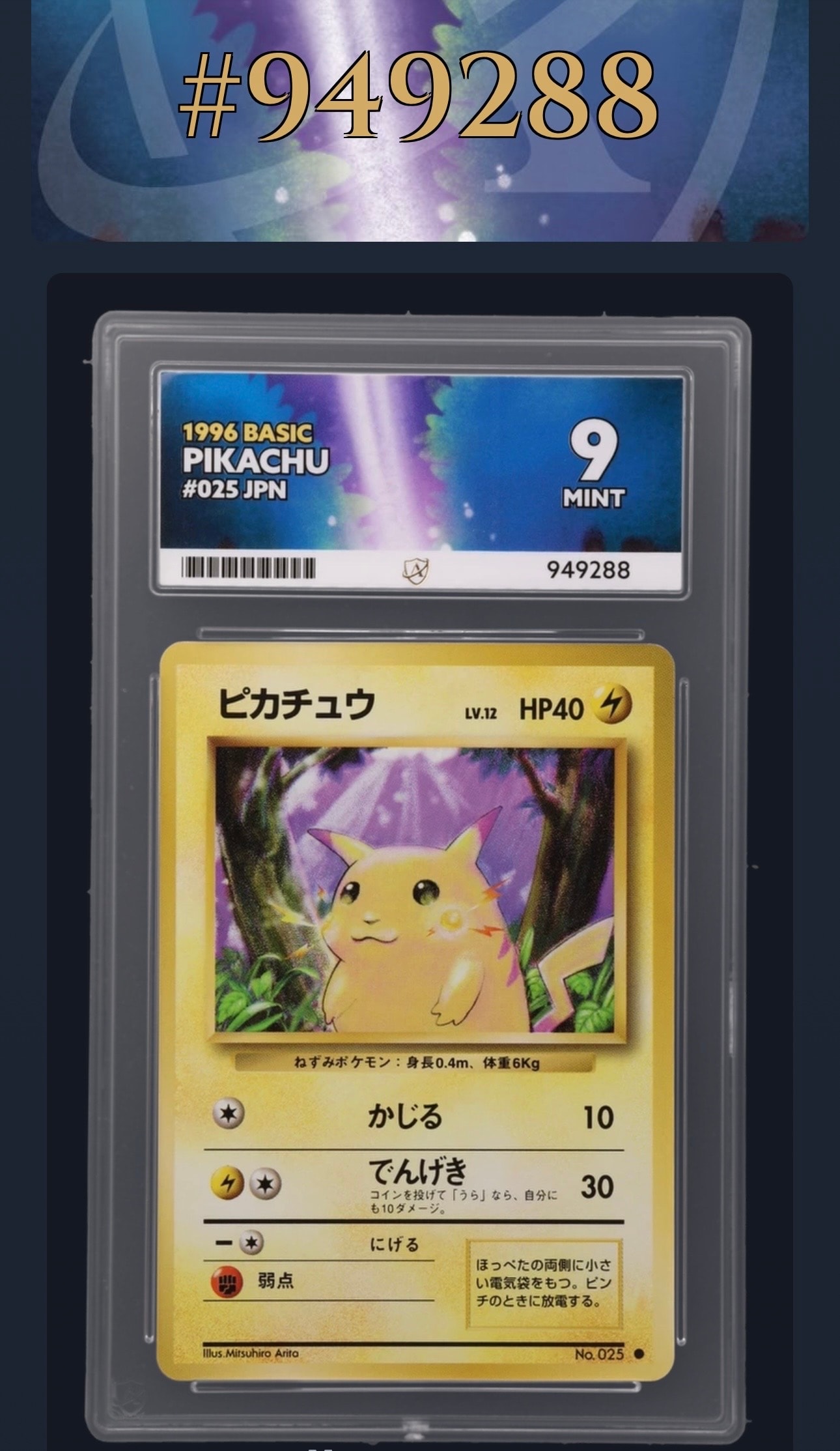ピカチュウ ● : 旧裏 [PMCG1-2](拡張パック「ポケットモンスター カードゲーム」再販)