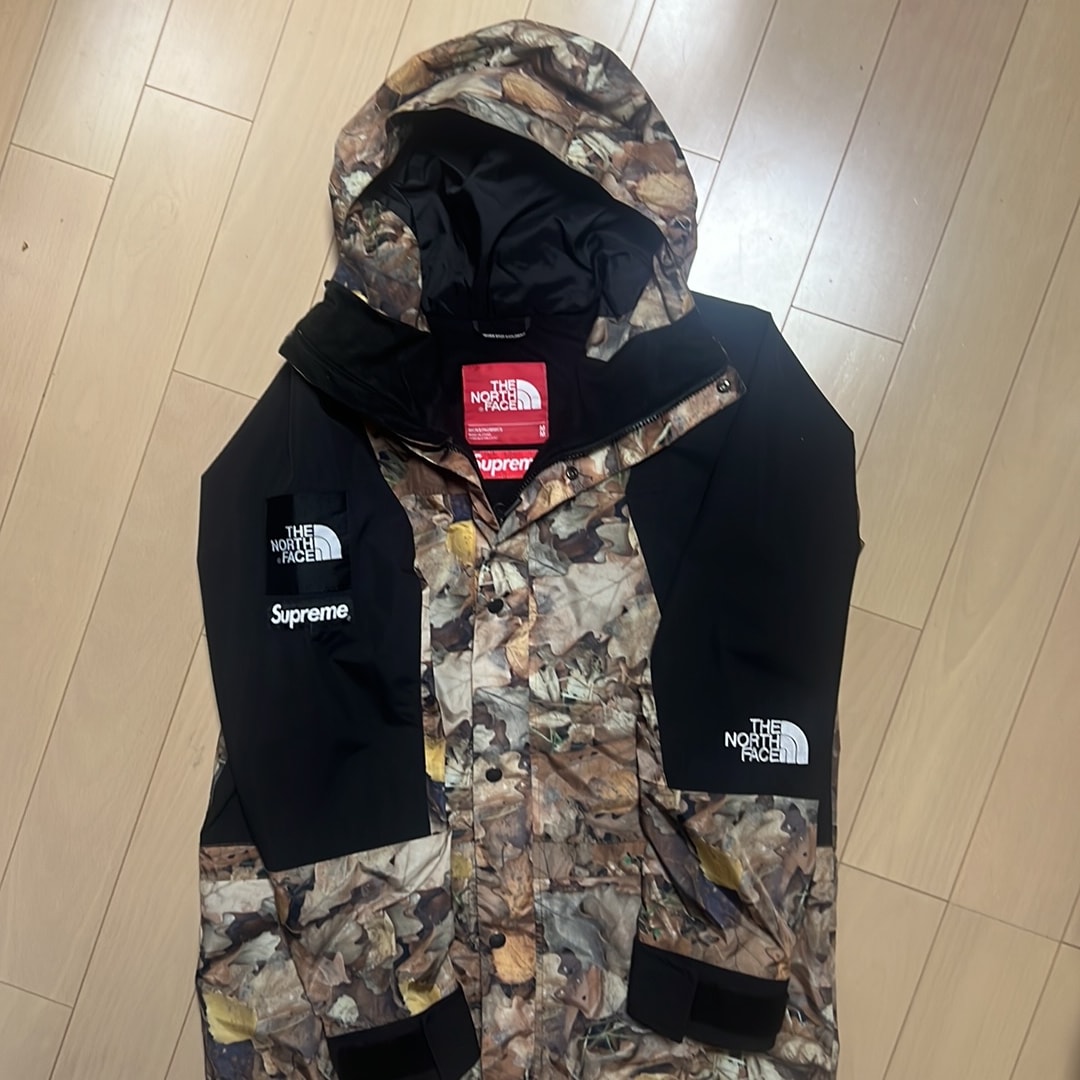 Supreme x The North Face Leaves Mountain Light Jacket "Leaves"