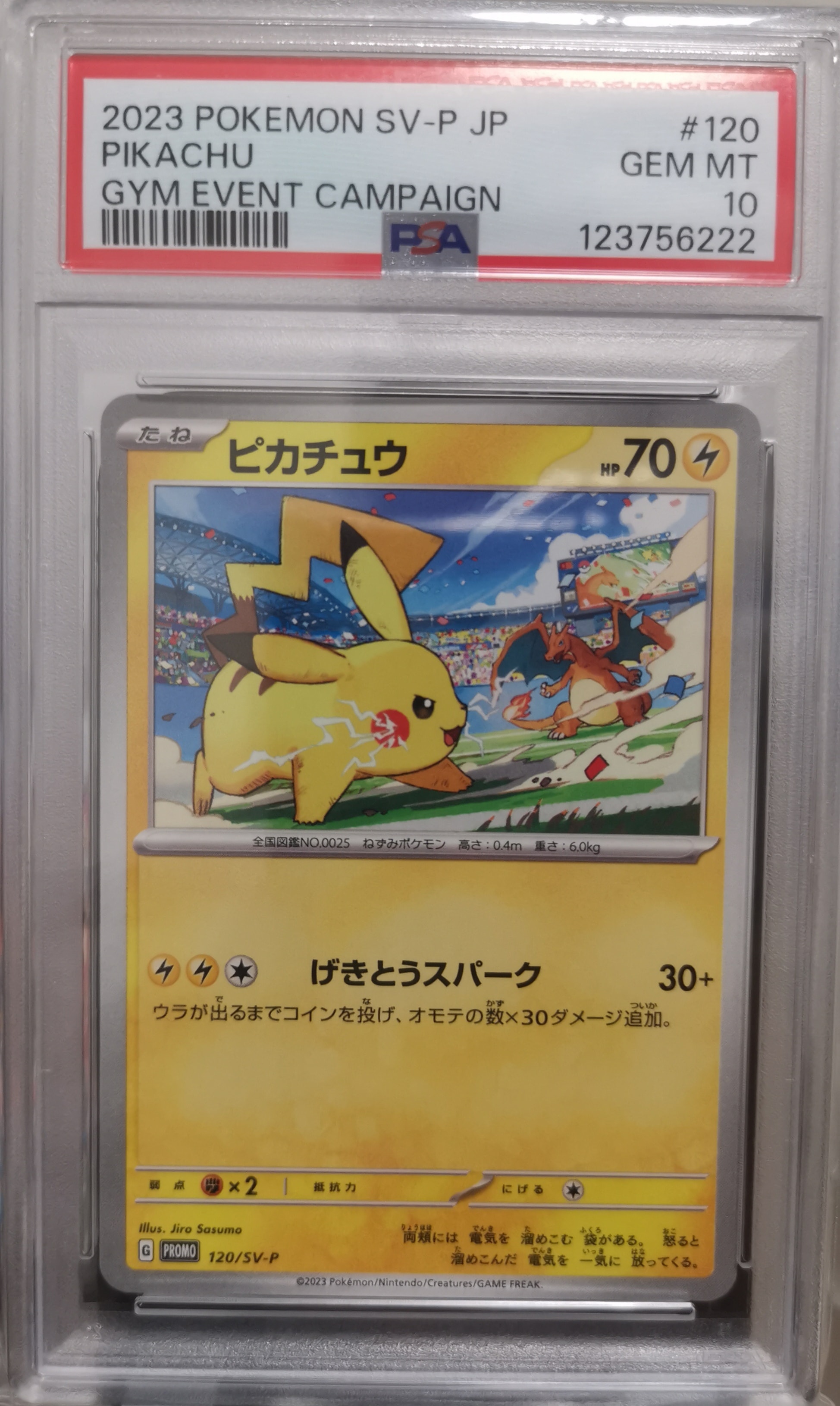 ピカチュウ: プロモ [SV-P 120](プロモーションカード「SV-P」)の新品