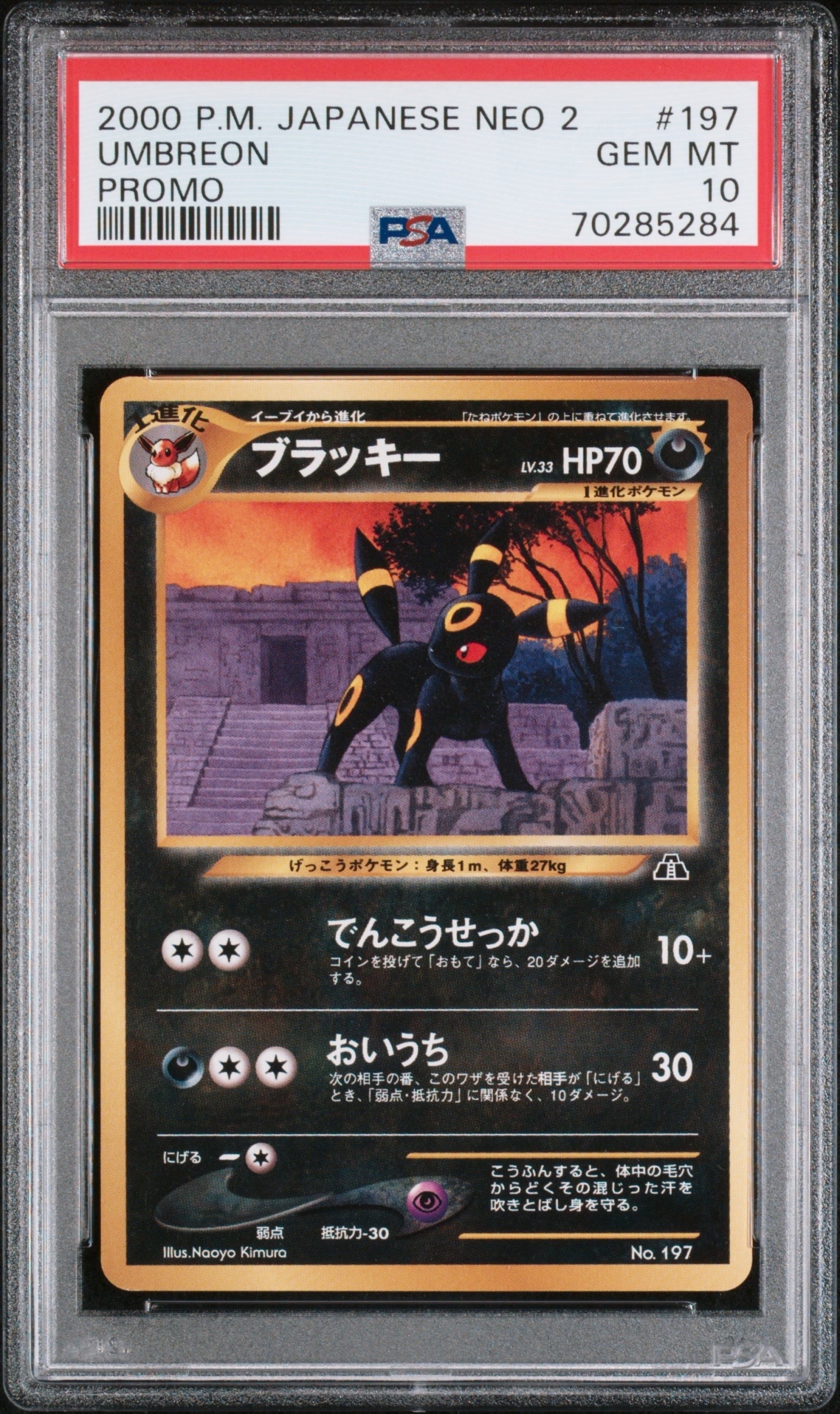 ブラッキープレミアムファイル2: 旧裏[neoP2 No.197](プレミアムファイル2)