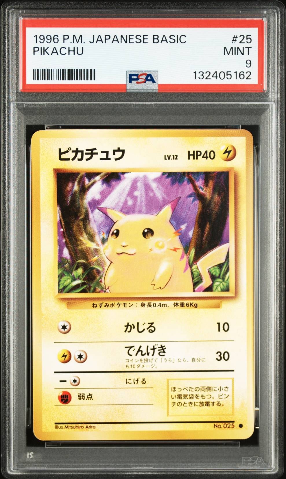 PSA10】ピカチュウ ○ : 旧裏 [PMCG1-2](拡張パック