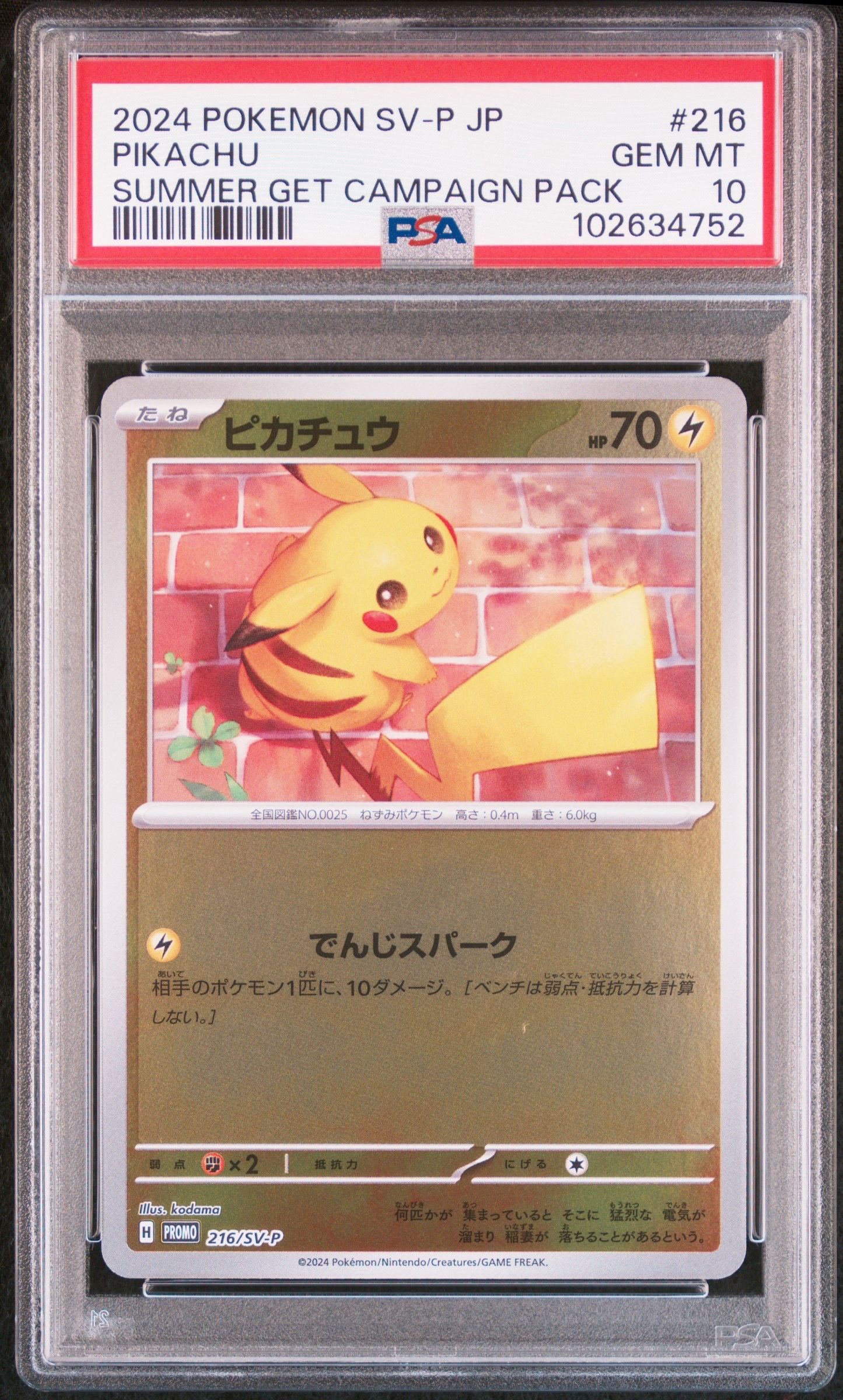 ピカチュウ P [SV-P 216](プロモカードパック「ポケカの夏がキタ!プロモカードGetキャンペーン!」)