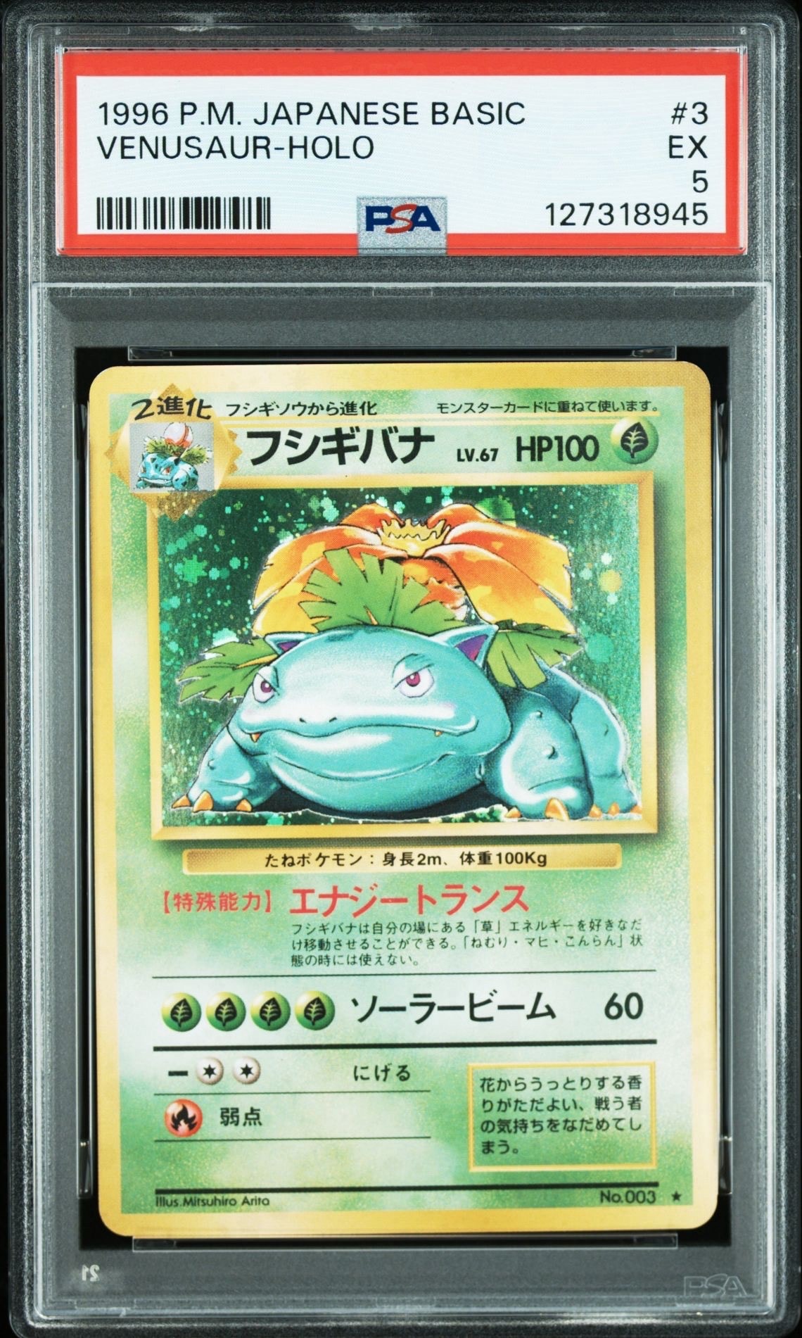 フシギバナ ★ : 旧裏 [PMCG1-2](拡張パック「ポケットモンスター カードゲーム」再販)